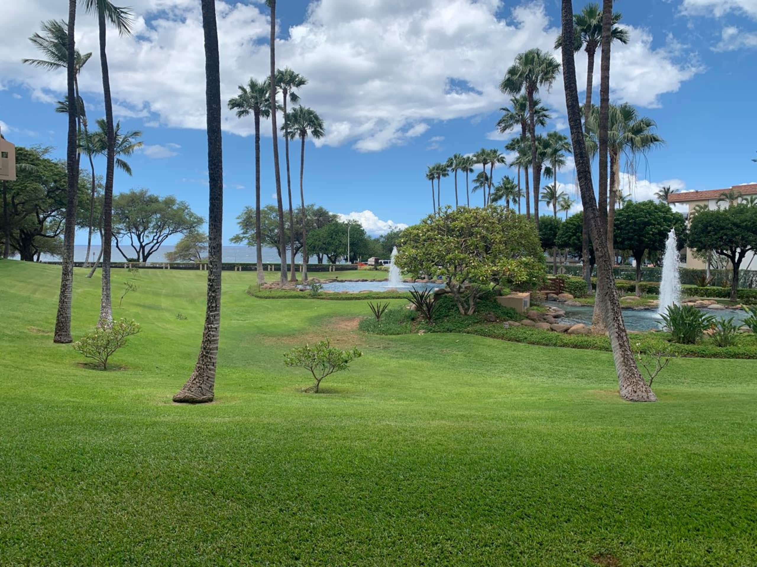 Home in Kihei · ★5.0 · 2 bedrooms · 2 beds · 2 baths - Image 3