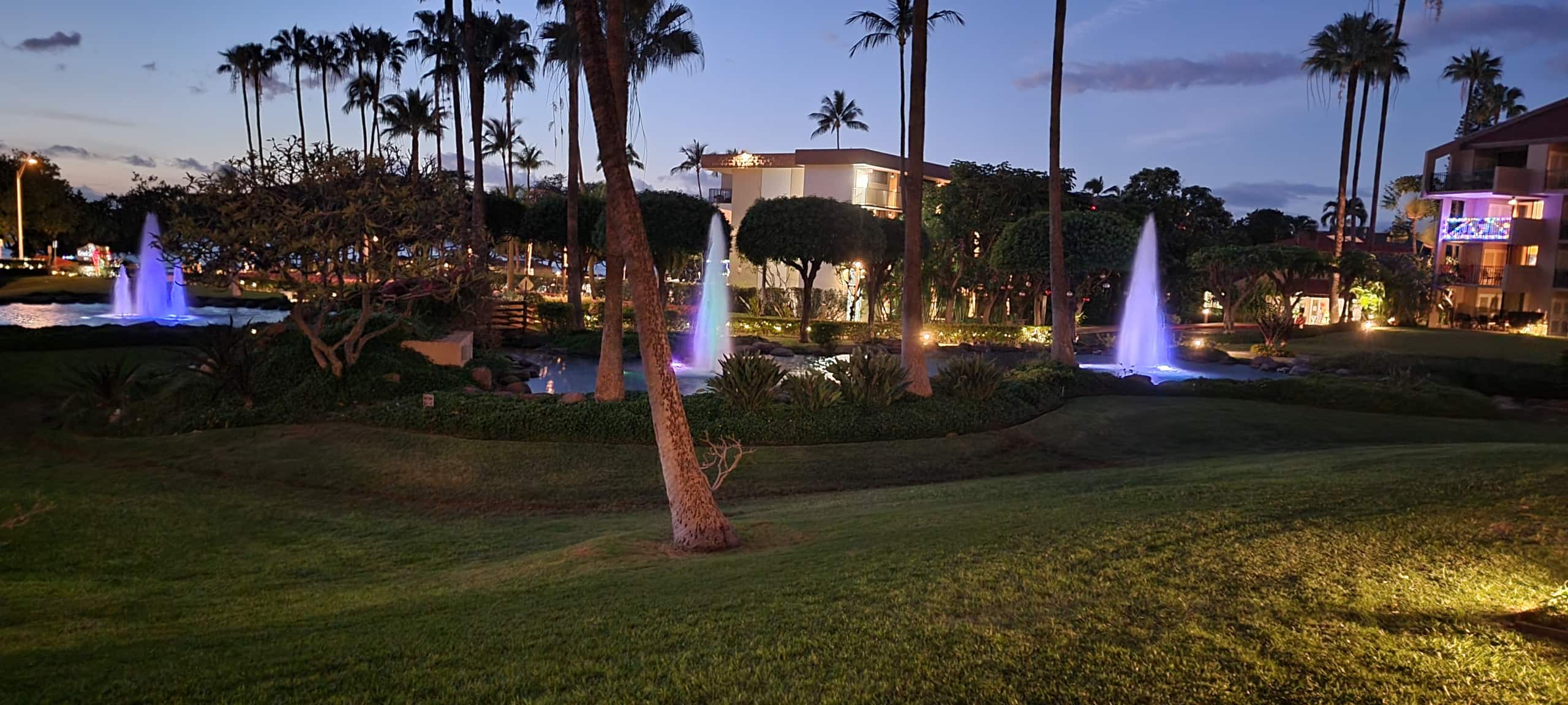 Home in Kihei · ★5.0 · 2 bedrooms · 2 beds · 2 baths - Image 44