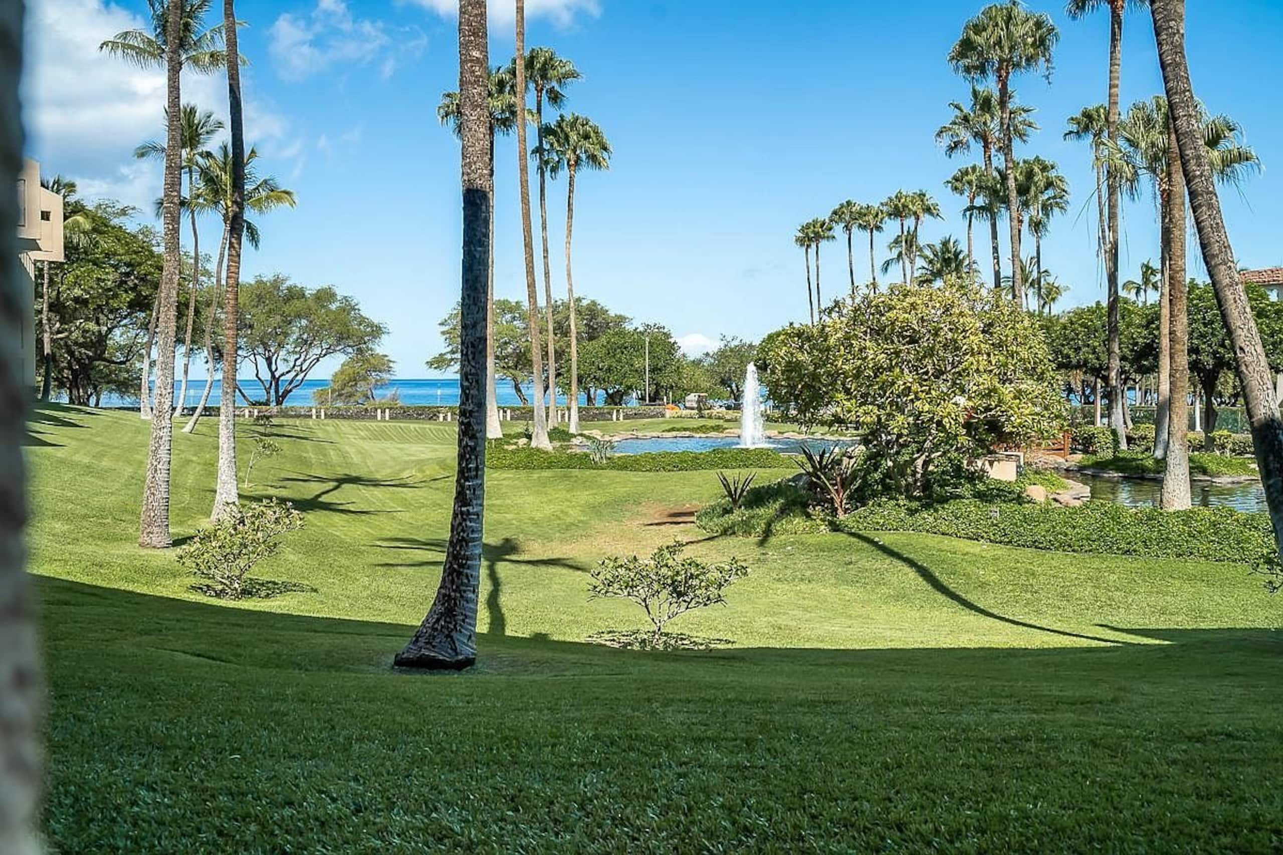 Home in Kihei · ★5.0 · 2 bedrooms · 2 beds · 2 baths - Image 20