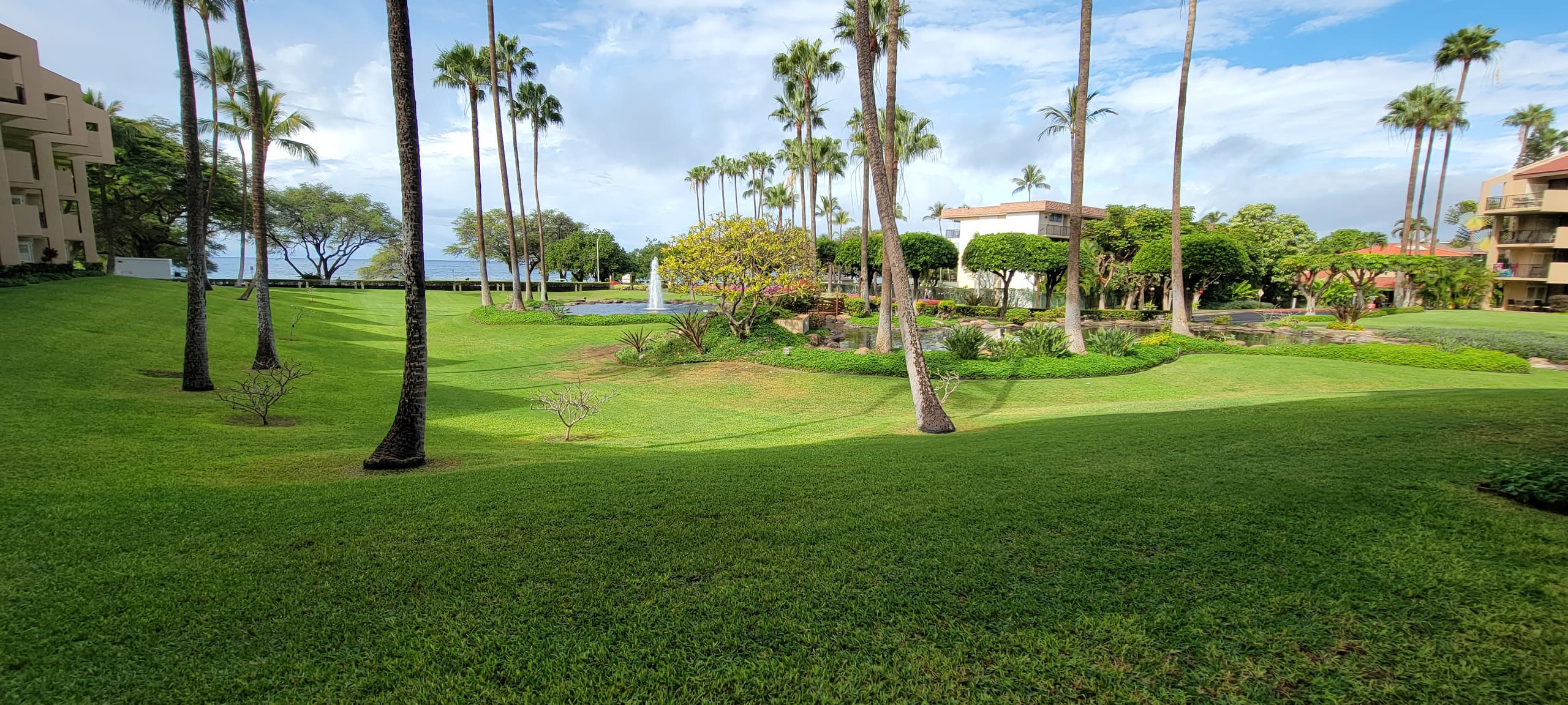 Home in Kihei · ★5.0 · 2 bedrooms · 2 beds · 2 baths - Image 31