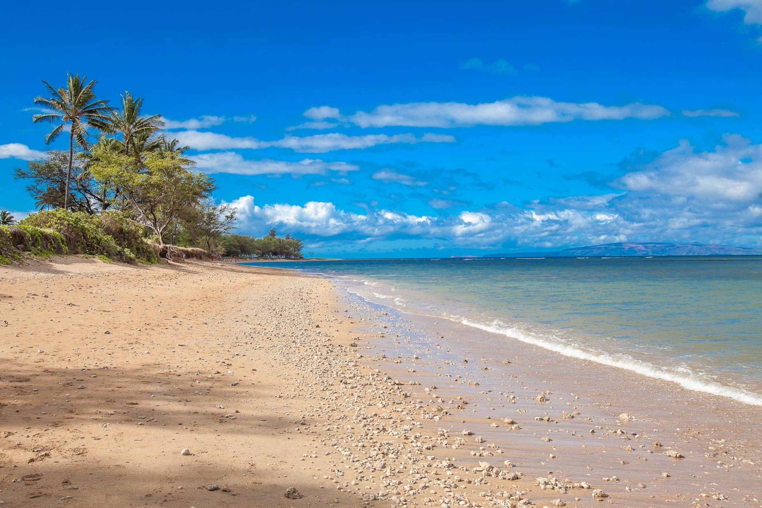 Condo in Kihei · ★4.86 · 2 bedrooms · 4 beds · 2 shared baths - Image 44