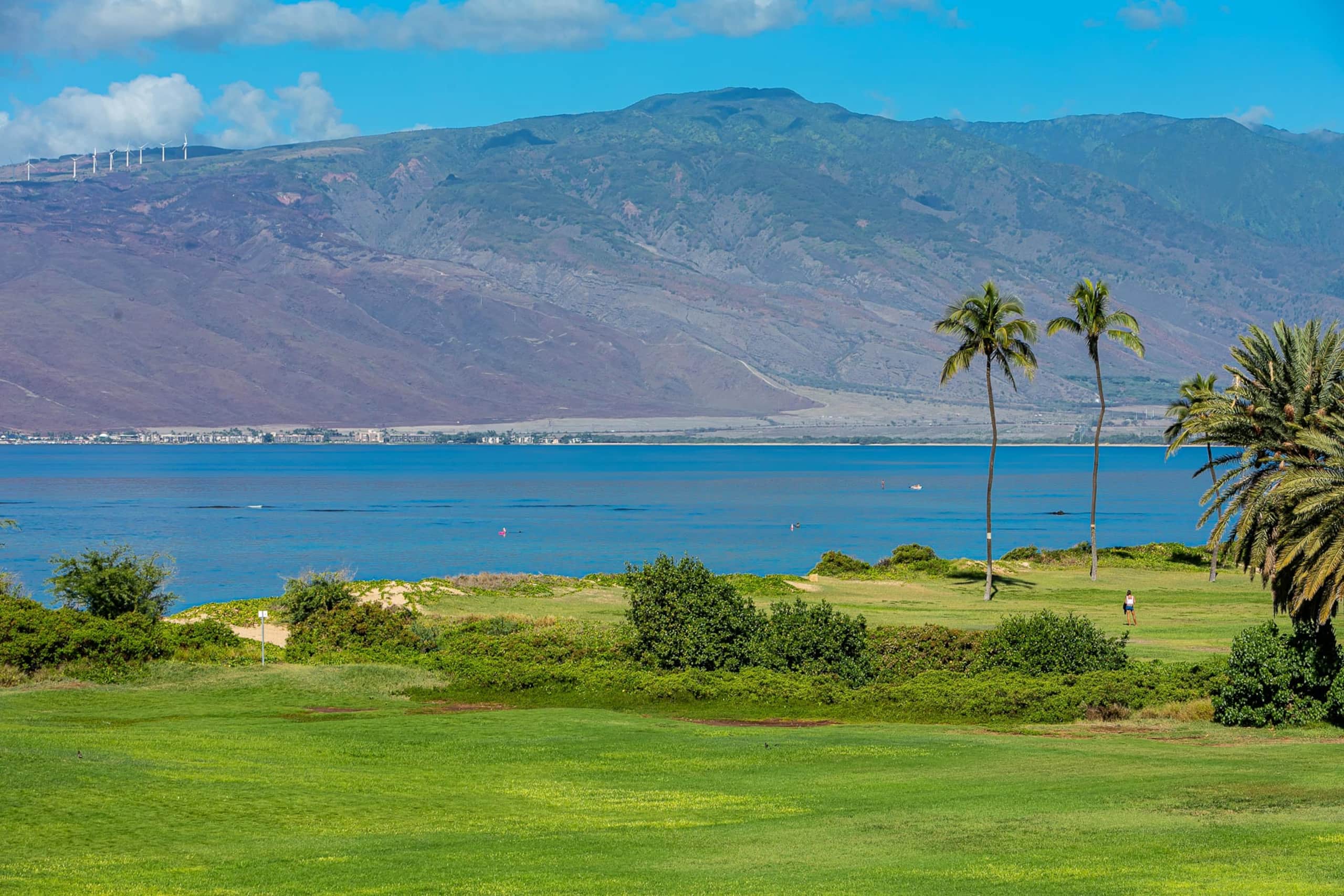 Condo in Kihei · ★4.86 · 2 bedrooms · 4 beds · 2 shared baths - Image 4