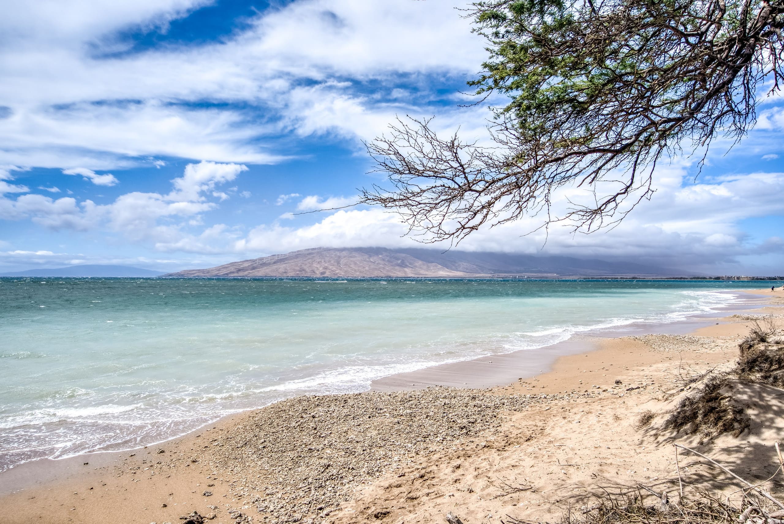 Condo in Kihei · ★4.86 · 2 bedrooms · 4 beds · 2 shared baths - Image 43