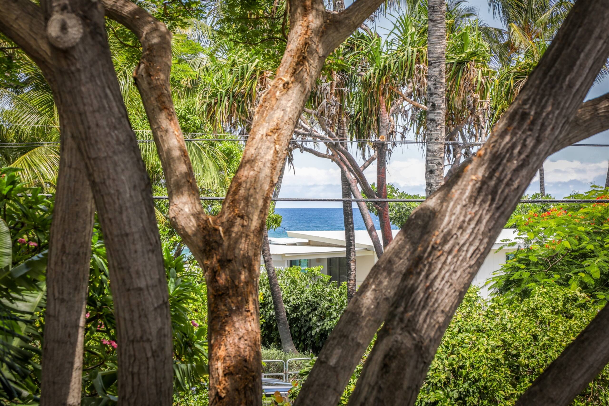Home in Waimea · ★4.97 · 4 bedrooms · 5 beds · 3 baths - Image 53