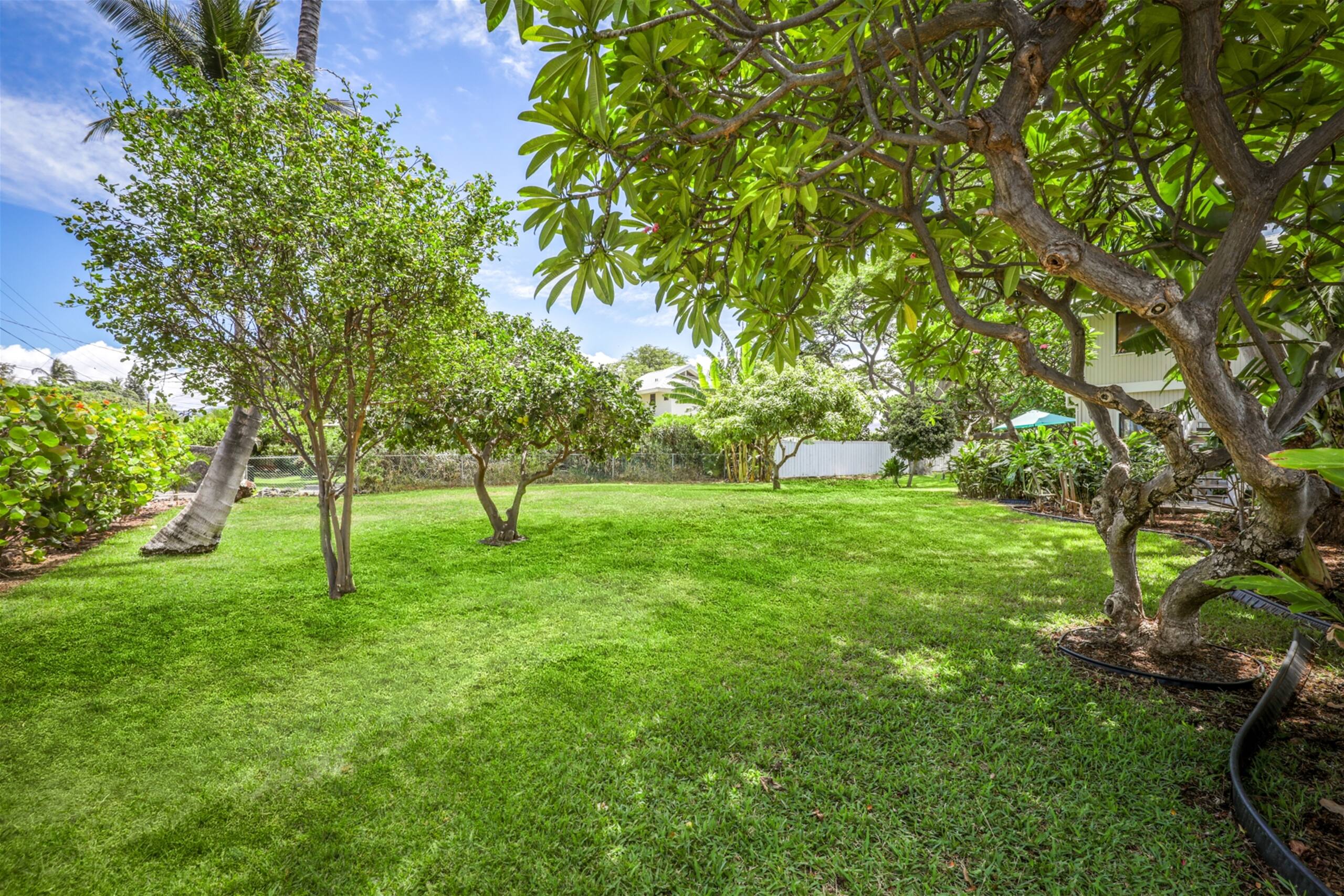 Home in Waimea · ★4.97 · 4 bedrooms · 5 beds · 3 baths - Image 51