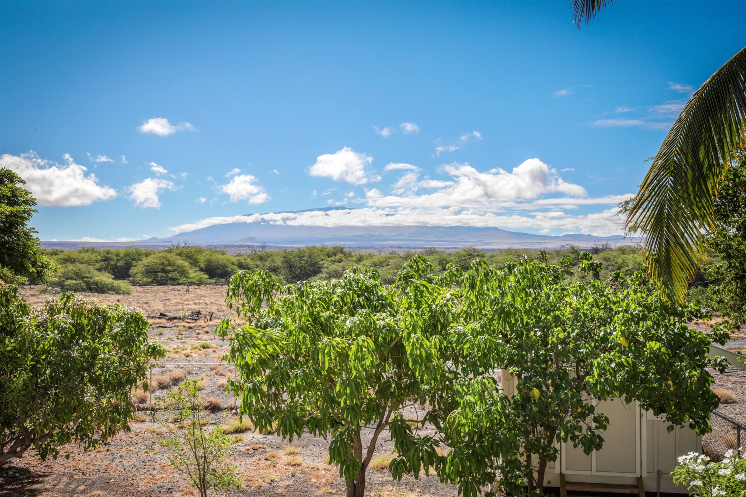 Home in Waimea · ★4.97 · 4 bedrooms · 5 beds · 3 baths - Image 52
