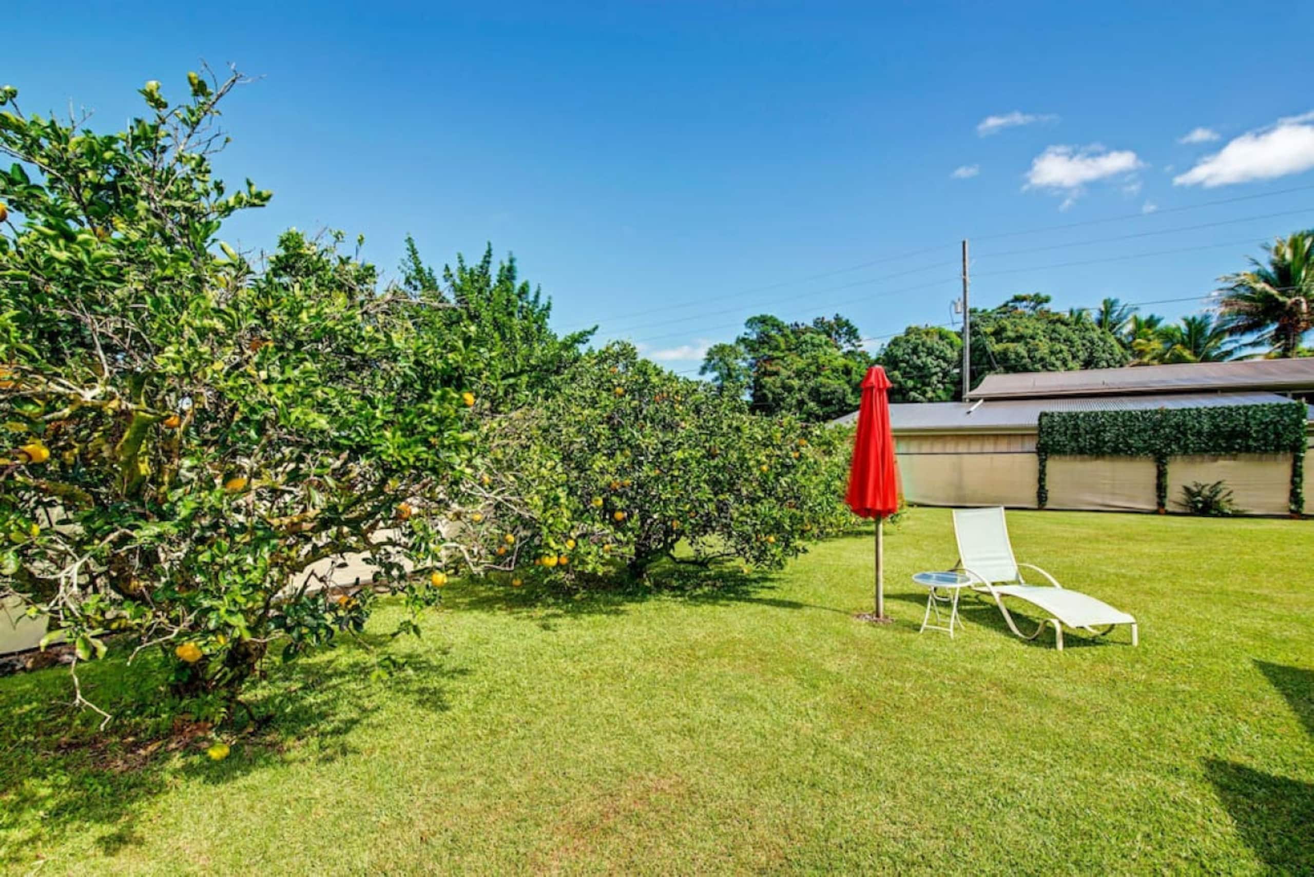 Home in Hilo · ★4.82 · 3 bedrooms · 3 beds · 1 bath - Image 50