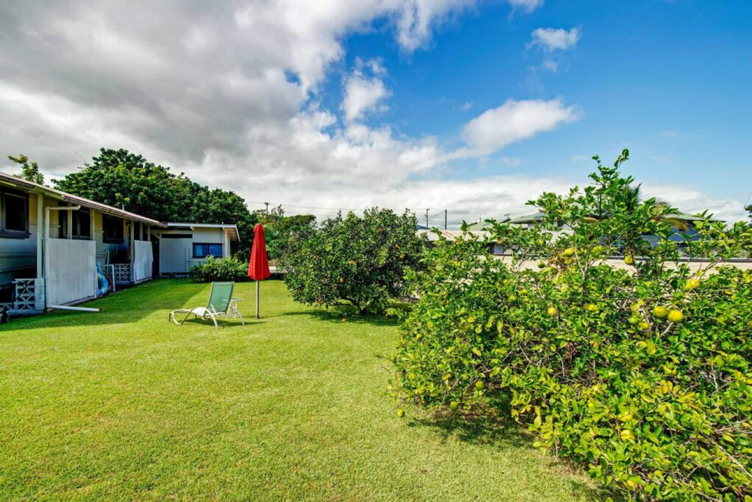 Home in Hilo · ★4.82 · 3 bedrooms · 3 beds · 1 bath - Image 51