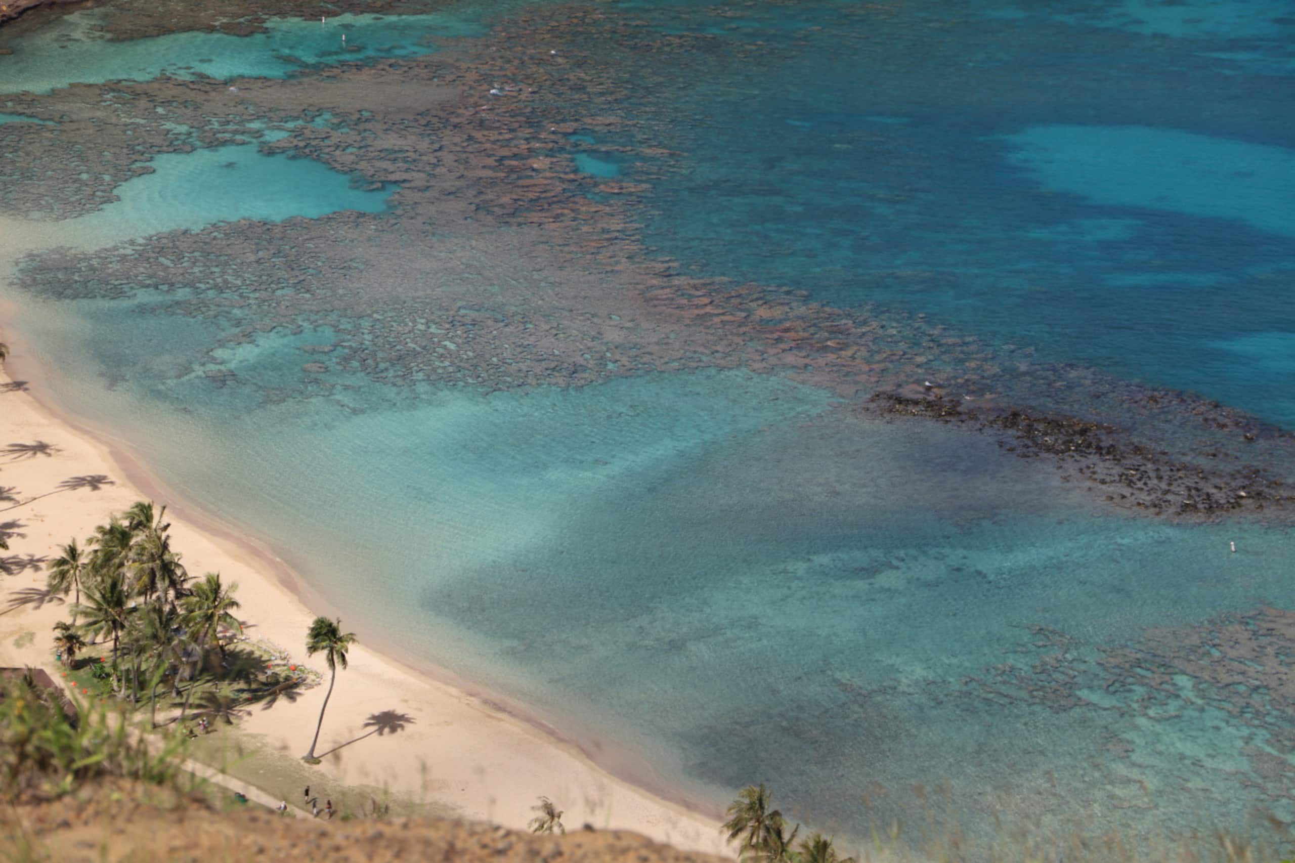 Home in Kahuku · ★4.71 · 2 bedrooms · 2 beds · 2 private baths - Image 34