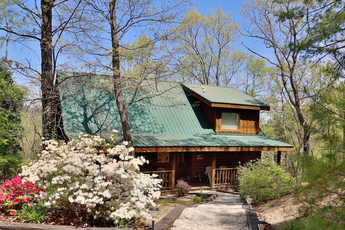 Mountain Views & Very Private! - Cabins for Rent in Sevierville ...