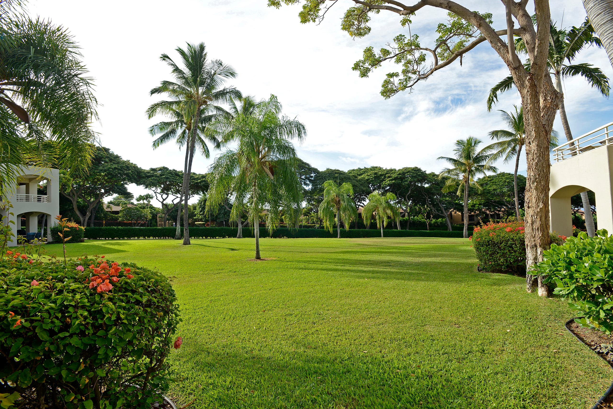 Condo in Wailea · ★5.0 · 2 bedrooms · 3 beds · 2 baths - Image 39