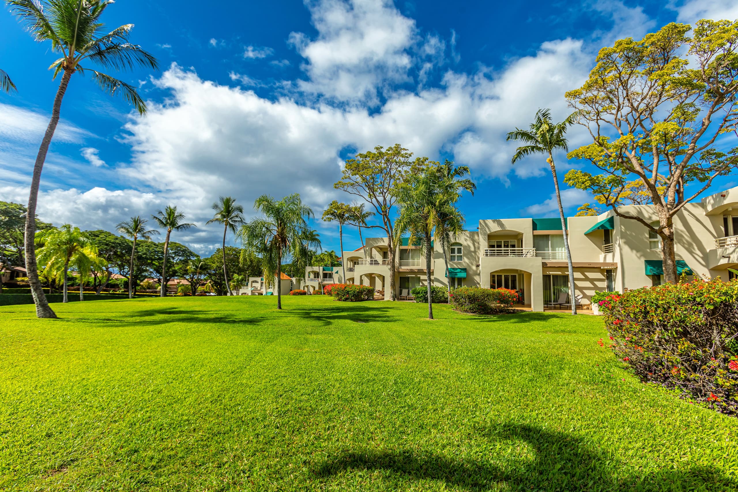Condo in Wailea · ★5.0 · 2 bedrooms · 3 beds · 2 baths - Image 27