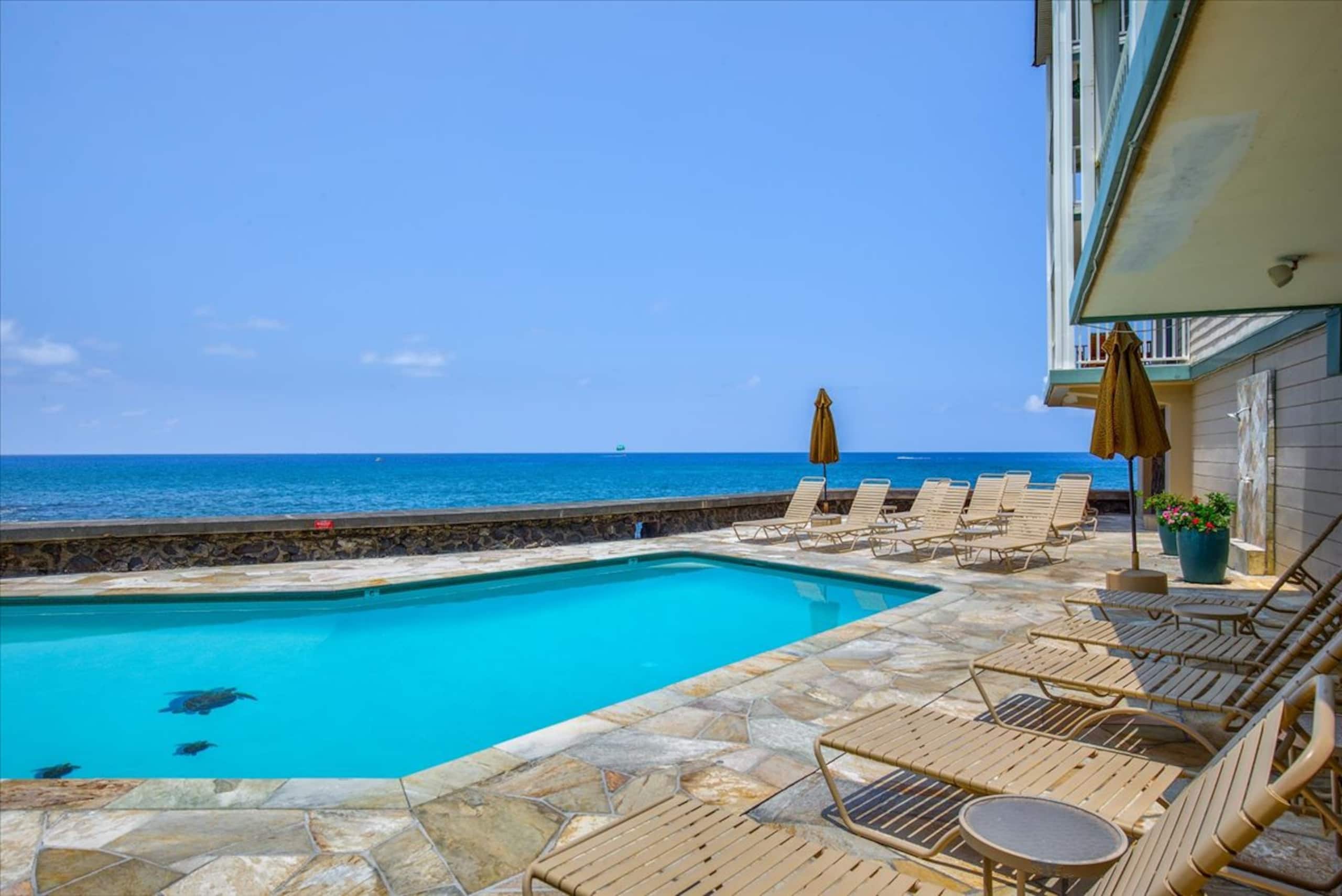 Condo in Kailua-Kona · ★4.5 · 1 bedroom · 1 bed · 1 bath - Image 22