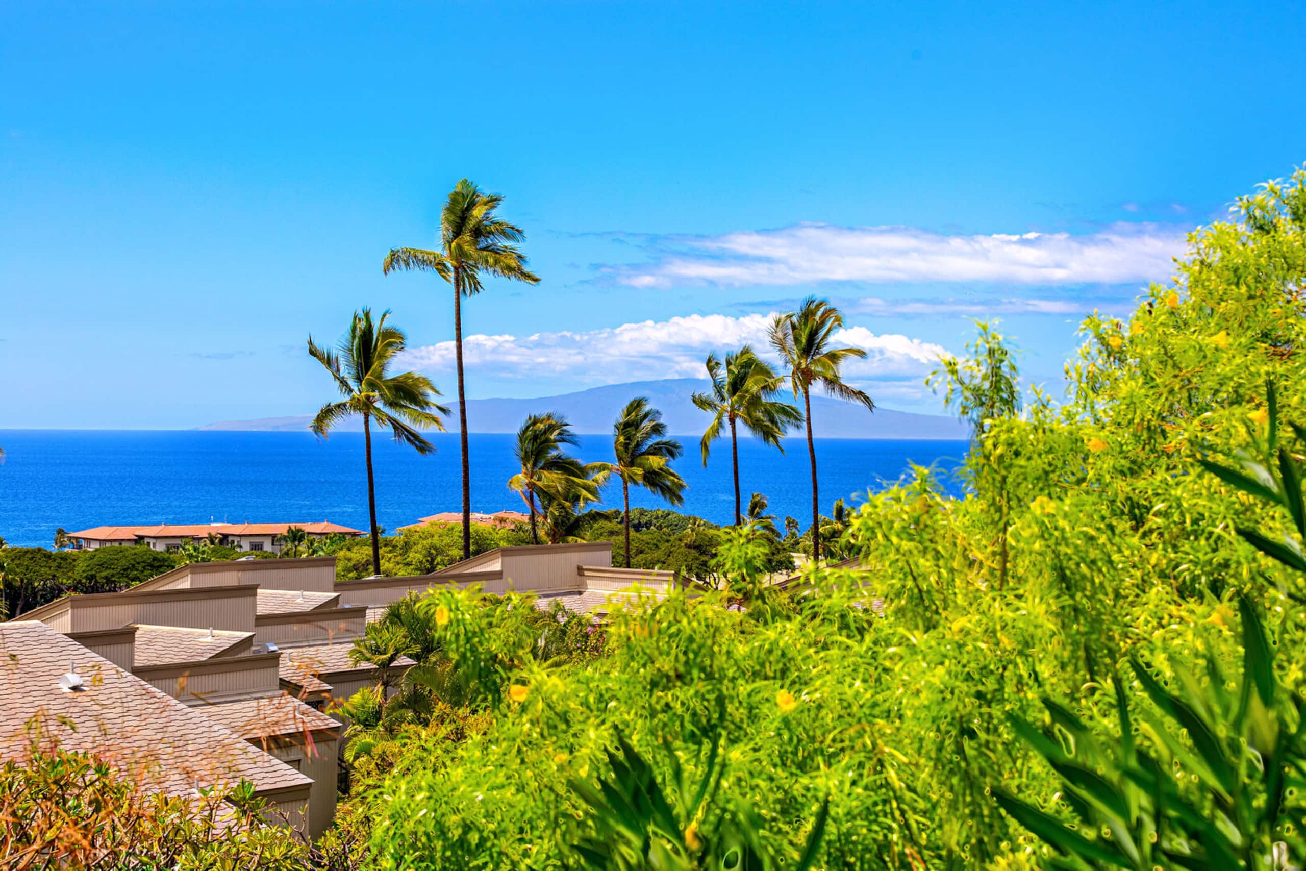 Condo in Kihei · ★4.95 · 1 bedroom · 2 beds · 2 private baths - Image 34