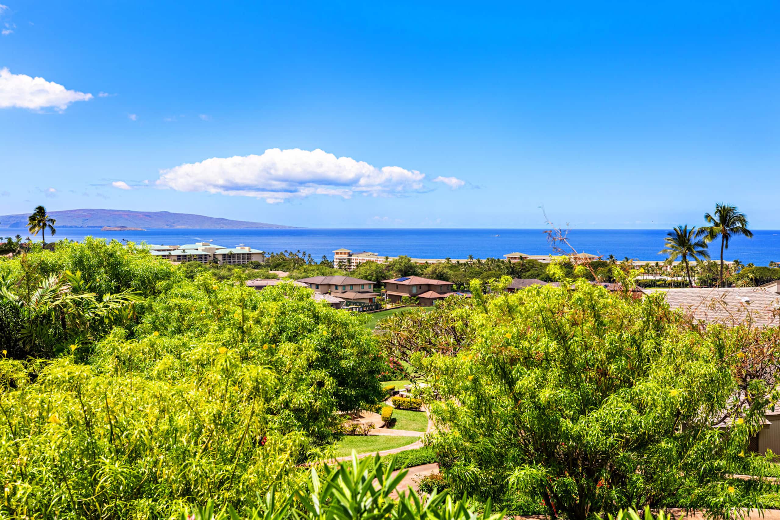 Condo in Kihei · ★4.95 · 1 bedroom · 2 beds · 2 private baths - Image 32