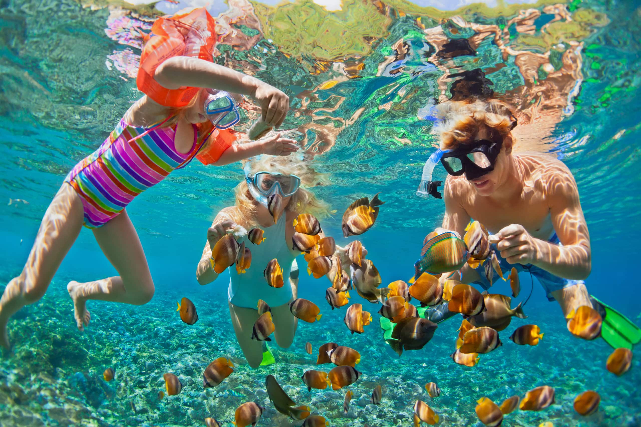 Penthouse Steps to Beach, Pool, Shops & More w/ AC - Photo 53