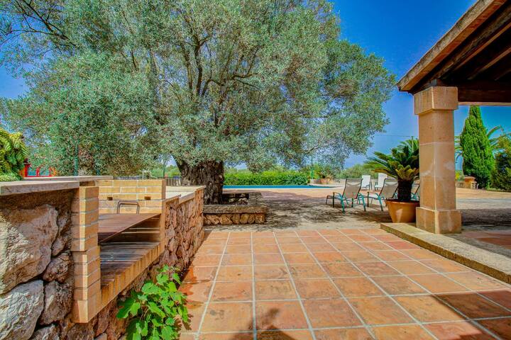 S’Olivar de Son Reixach by Rentallorca gallery image 5