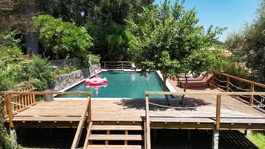 Casa da Alvarinha. Privacy, Comfort and Nature.