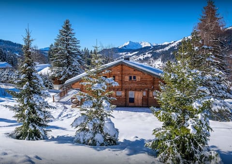 Les Gets ski for 8 spa and garden