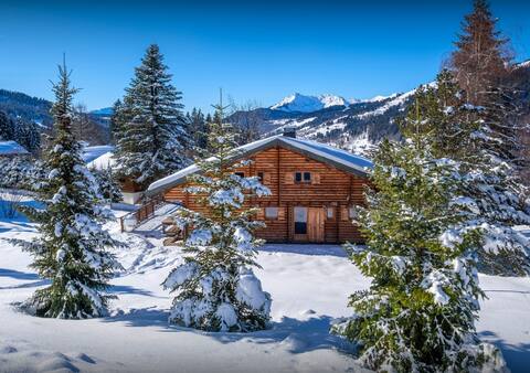 Les Gets ski for 8 spa and garden
