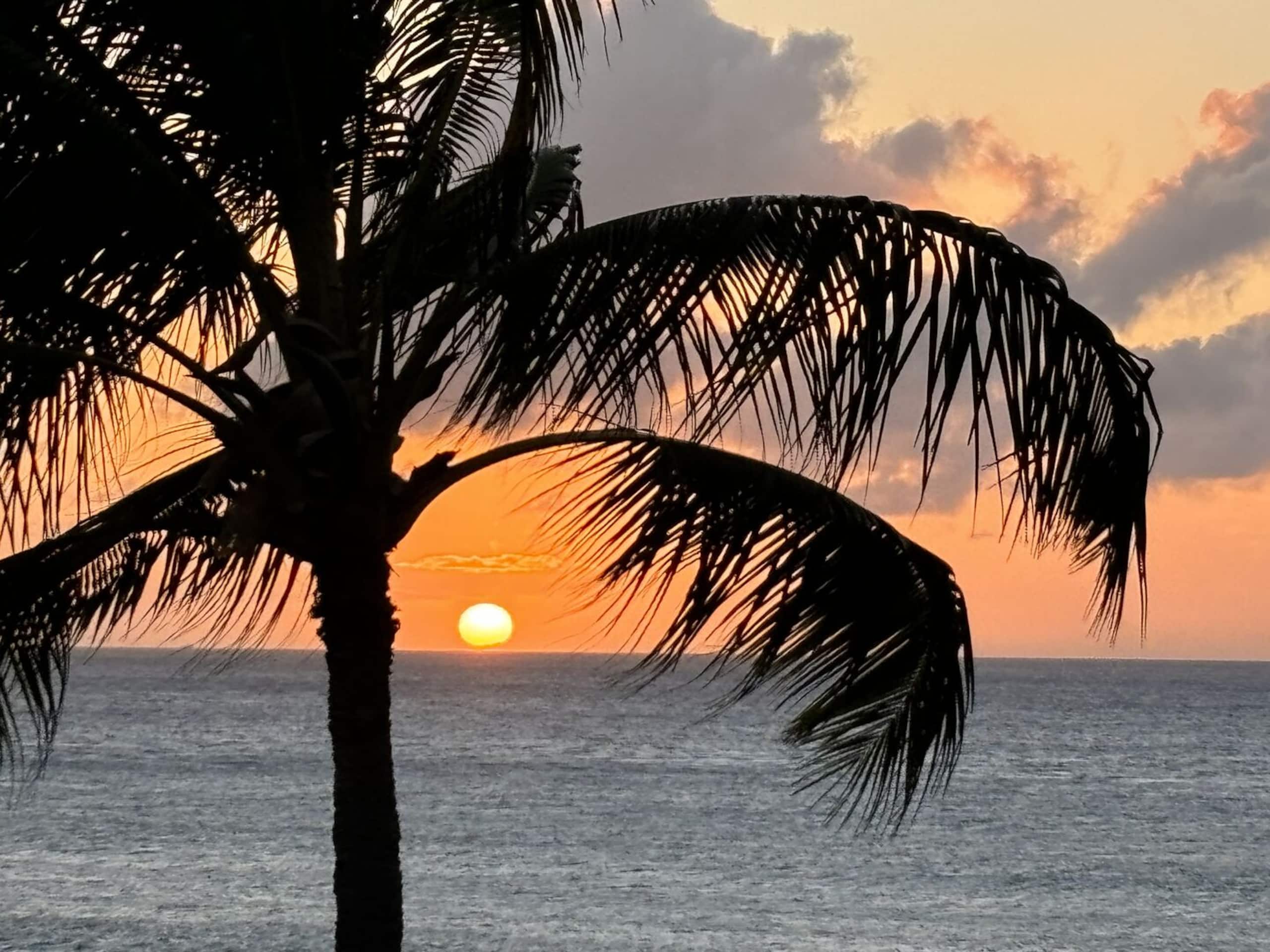 Condo in Lahaina · ★4.61 · 2 bedrooms · 3 beds · 2 private baths - Image 31