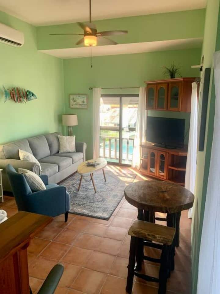 Comfortable Living Room, Sleeper Sofa queen, Smart TV