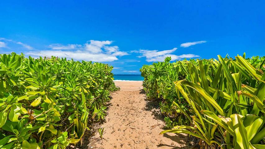 Anahola Beach Hale By Parrish Kauai gallery image 4