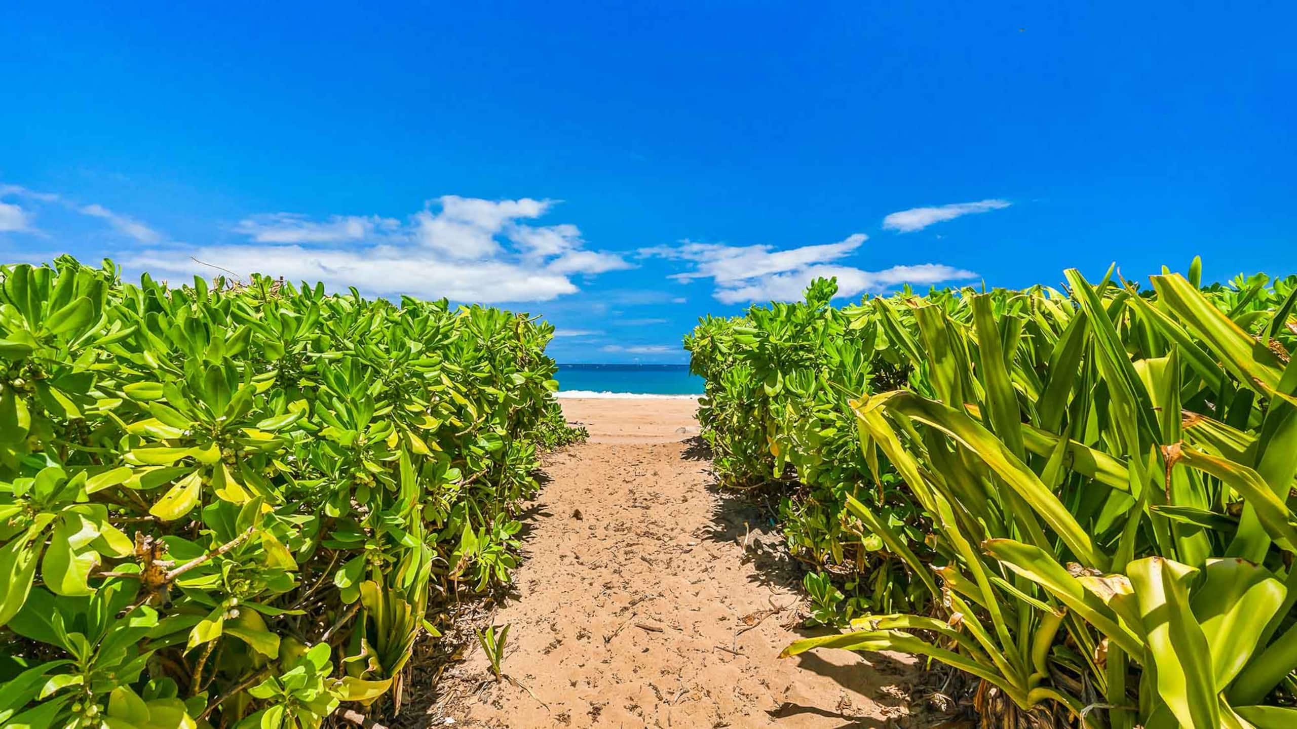 Anahola Beach Hale By Parrish Kauai - Photo 4