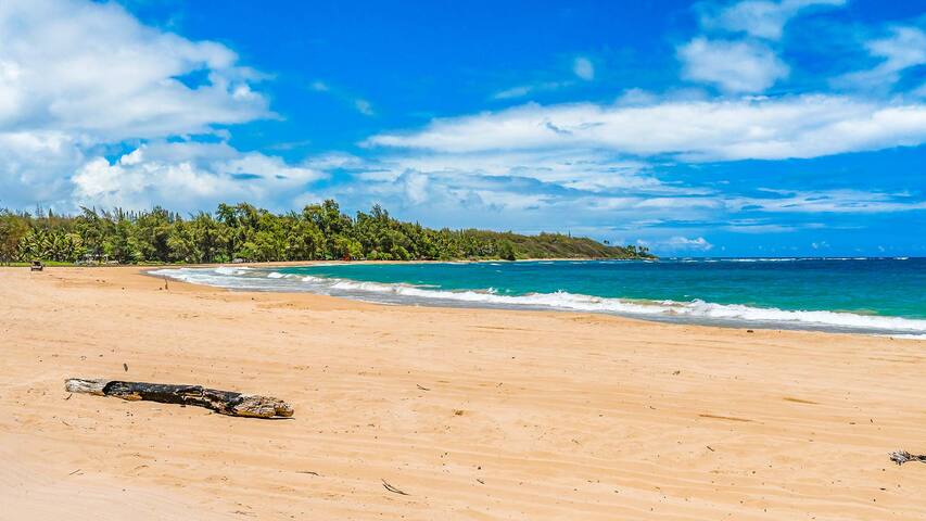 Anahola Beach Hale By Parrish Kauai gallery image 5