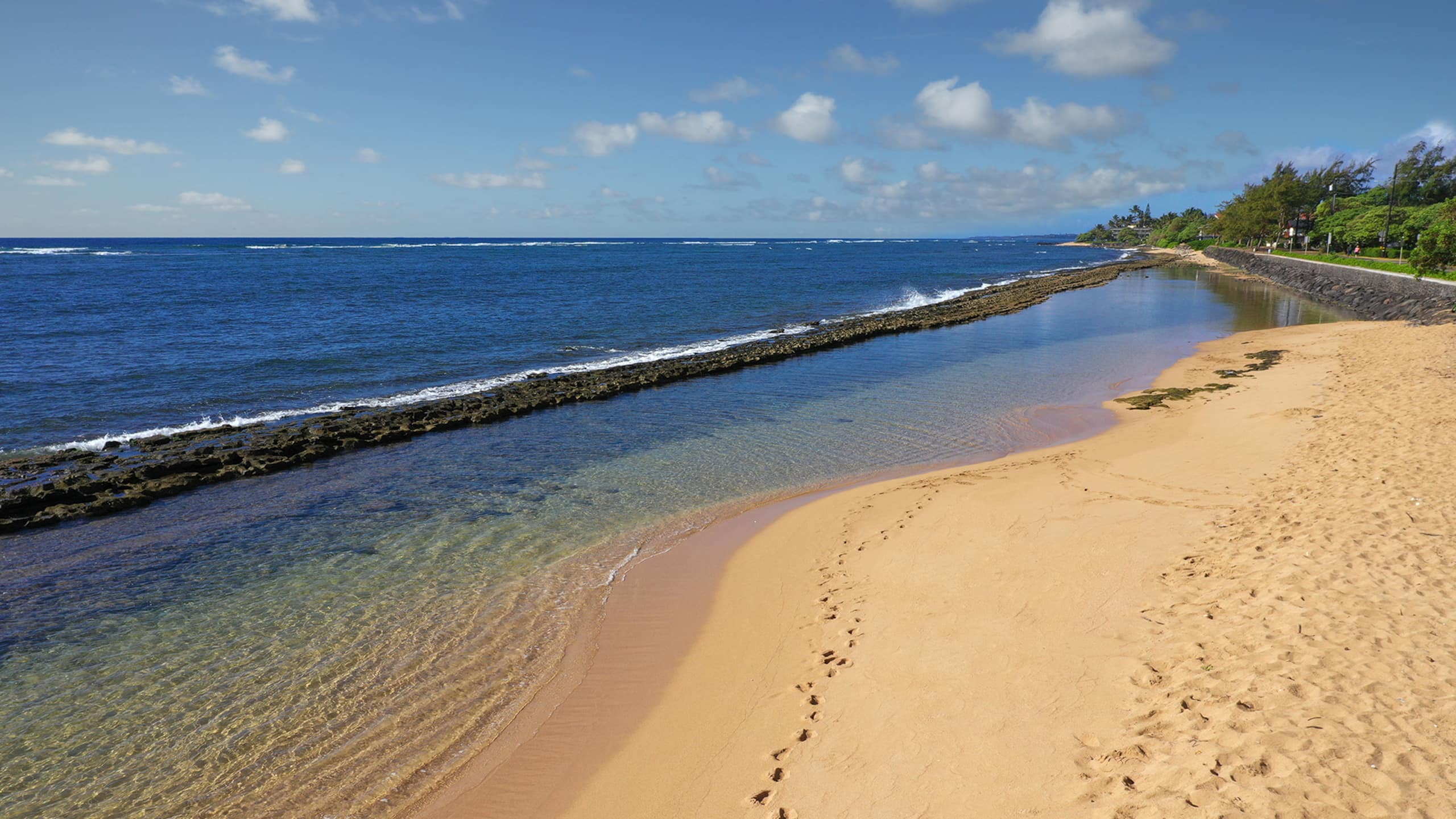 Anahola Beach Hale By Parrish Kauai - Photo 47