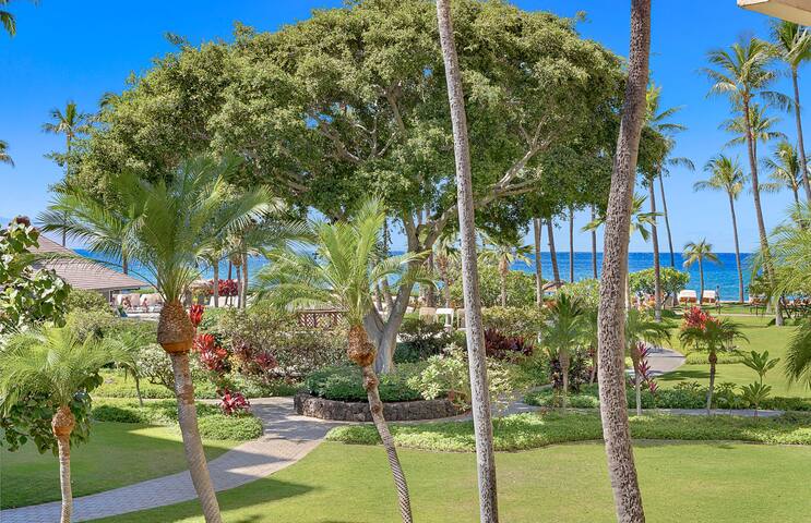 Maui Resort Rentals: Kaanapali Alii 225 gallery image 2