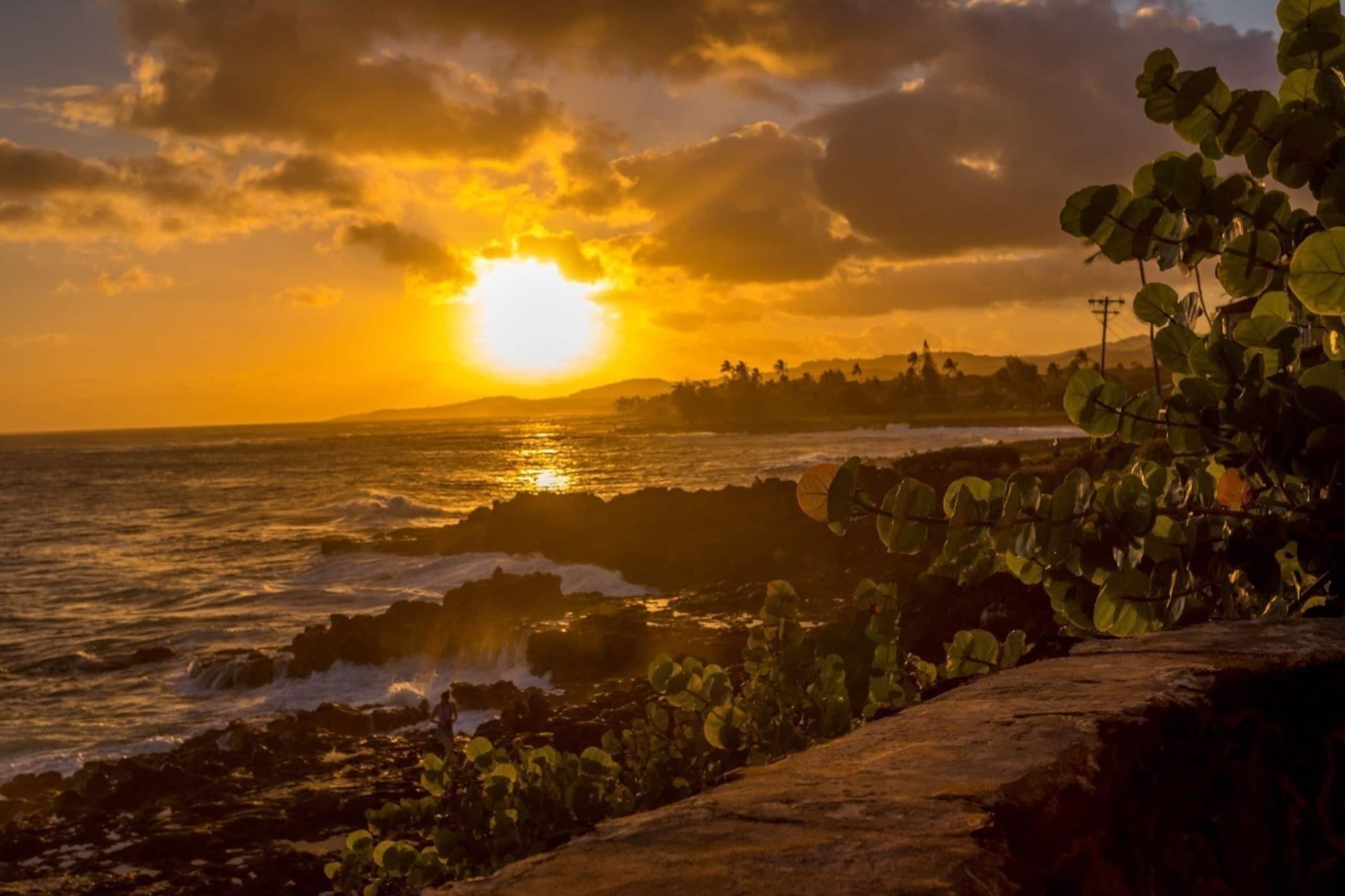 Home in Koloa · ★4.84 · 2 bedrooms · 4 beds · 2 baths - Image 25
