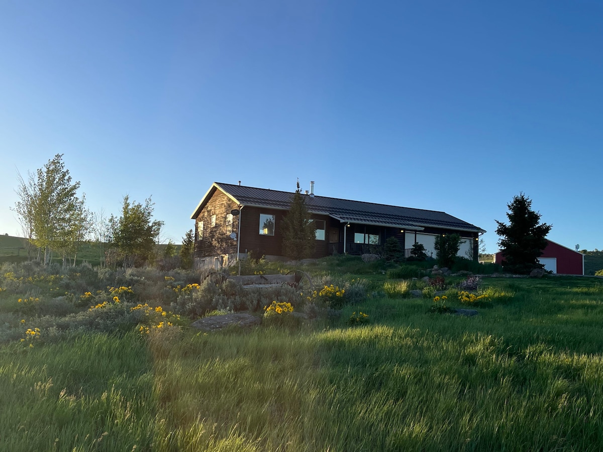 A serene exterior view of the cabin is set against a clear blue sky, featuring a landscaped yard with greenery and patches of yellow flowers. The structure is designed with a combination of wood and stone elements, complemented by large windows reflecting natural light.