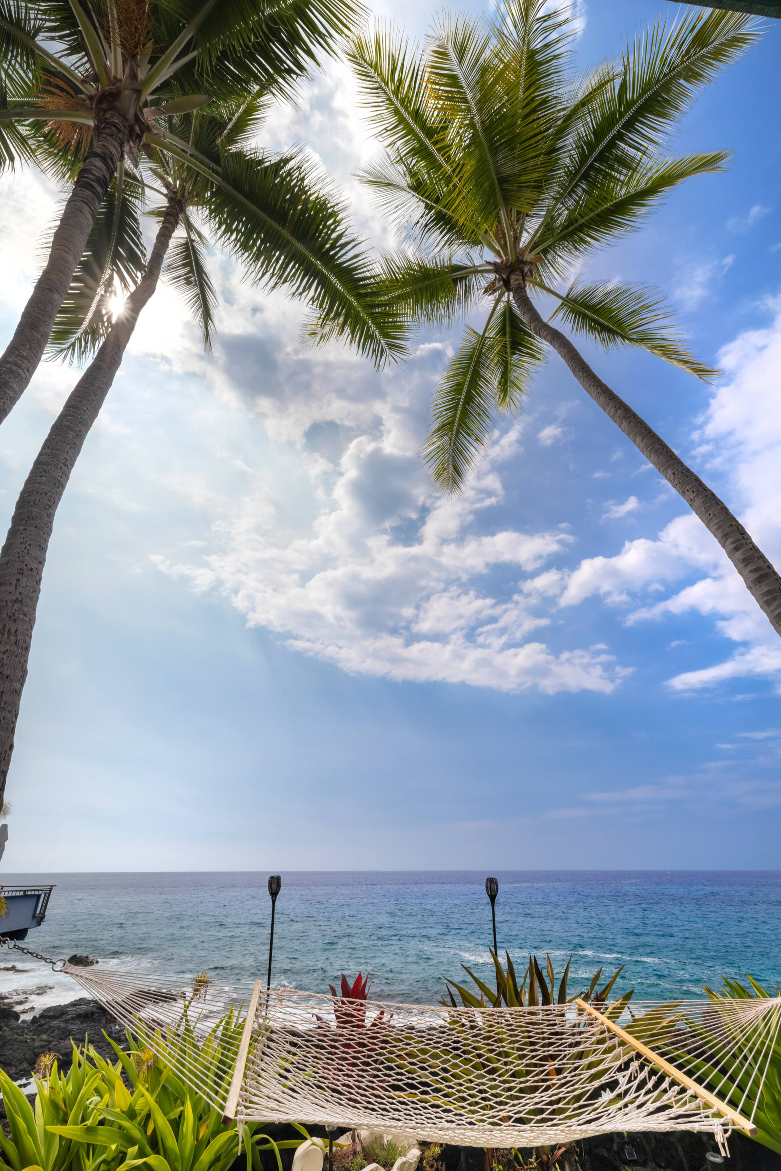Home in Kailua-Kona · ★5.0 · 4 bedrooms · 5 beds · 3 baths - Image 36