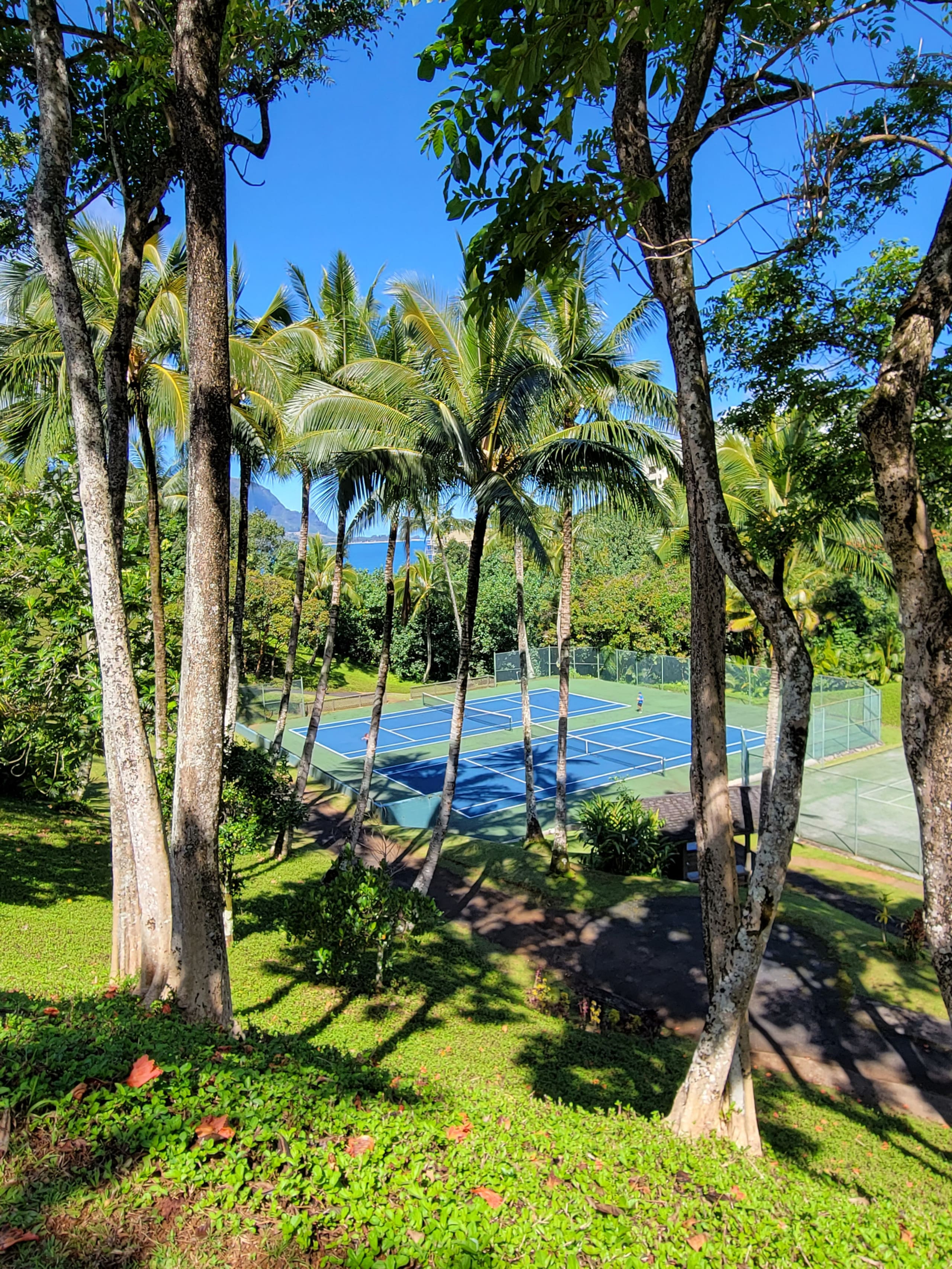 Condo in Princeville · ★4.98 · 2 bedrooms · 3 beds · 2 baths - Image 42