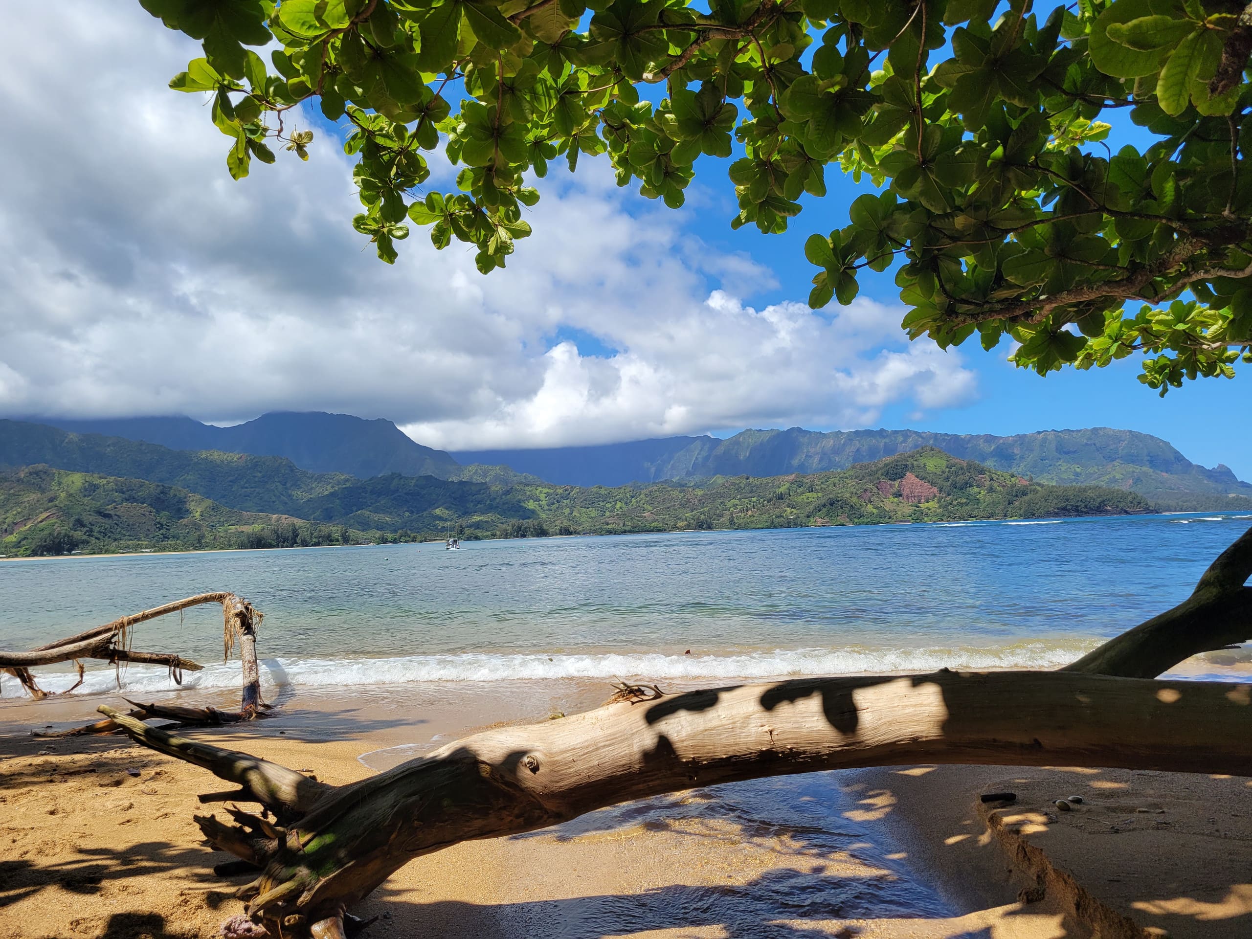 Condo in Princeville · ★4.98 · 2 bedrooms · 3 beds · 2 baths - Image 45