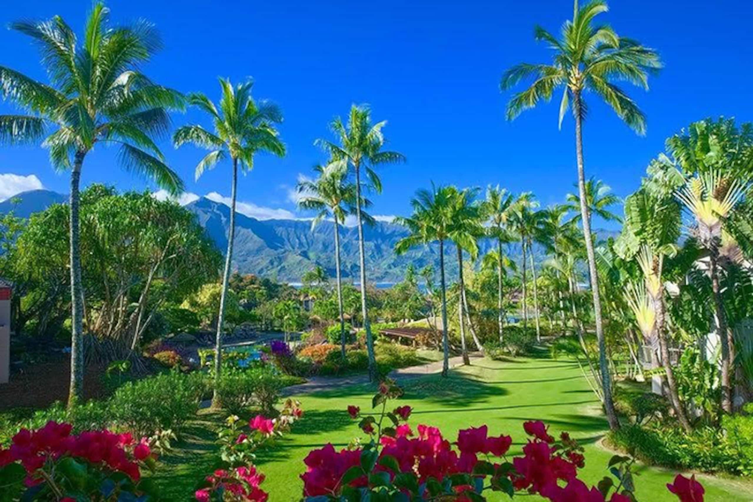 Condo in Princeville · ★4.98 · 2 bedrooms · 3 beds · 2 baths - Image 26