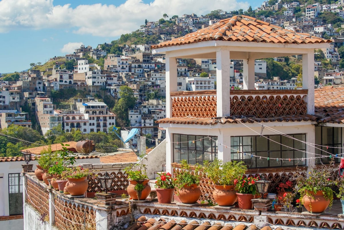 A rooftop terrace is surrounded by vibrant potted plants, displaying an array of colorful flowers. The view reveals the hills and houses of Taxco, showcasing the mountainous landscape under a clear blue sky with scattered clouds.
