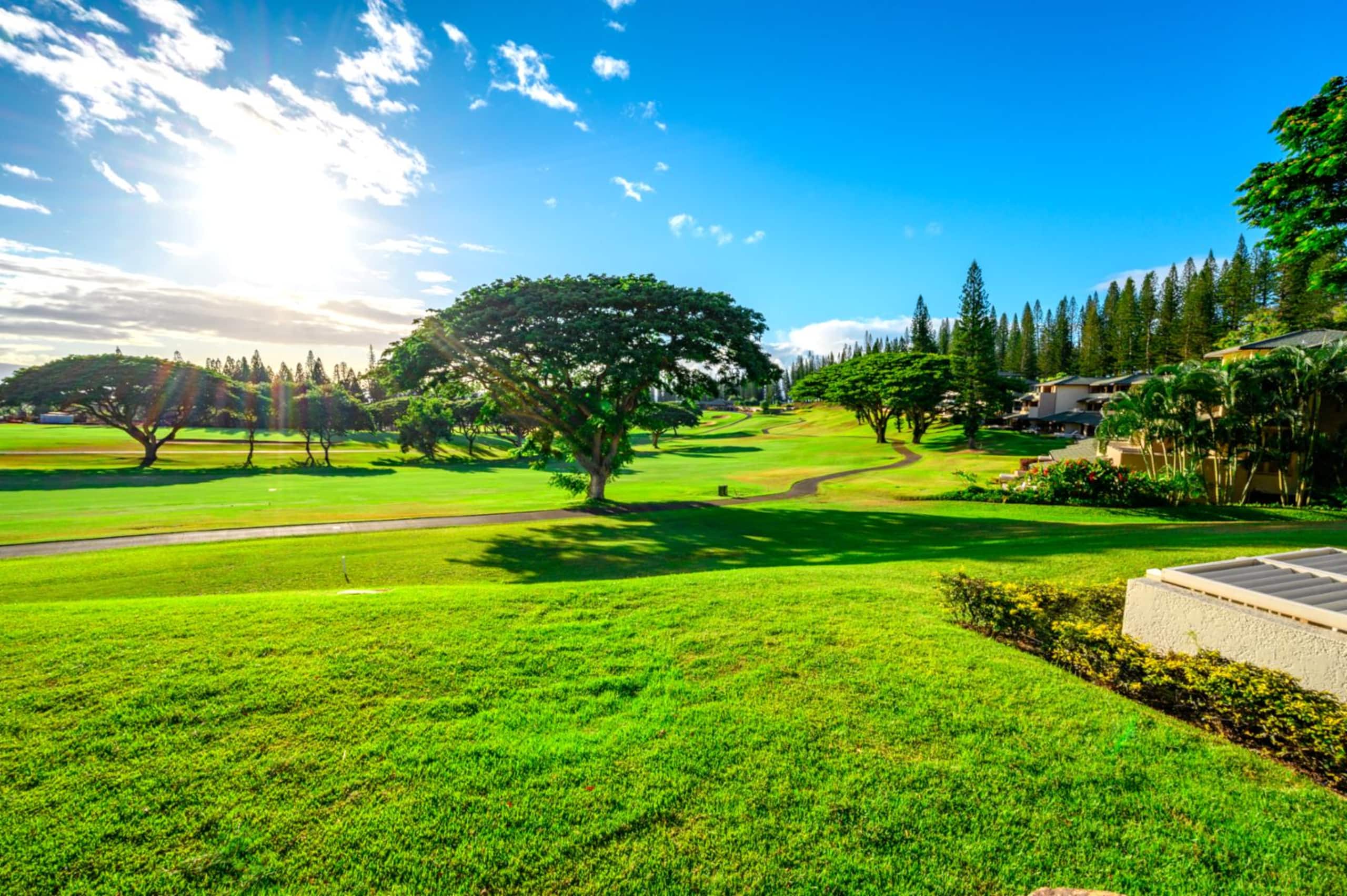 Condo in Lahaina · ★5.0 · 2 bedrooms · 2 beds · 2 baths - Image 18