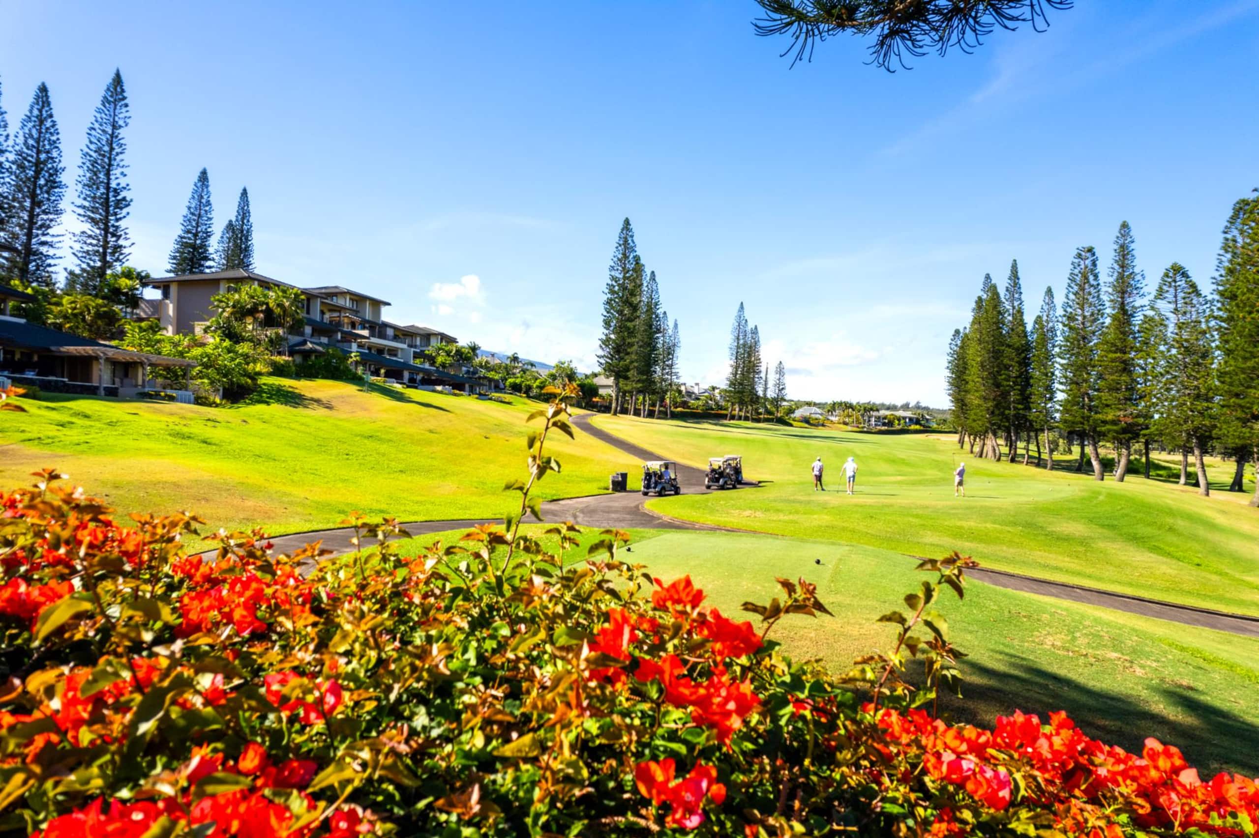 Condo in Lahaina · ★5.0 · 2 bedrooms · 2 beds · 2 baths - Image 17