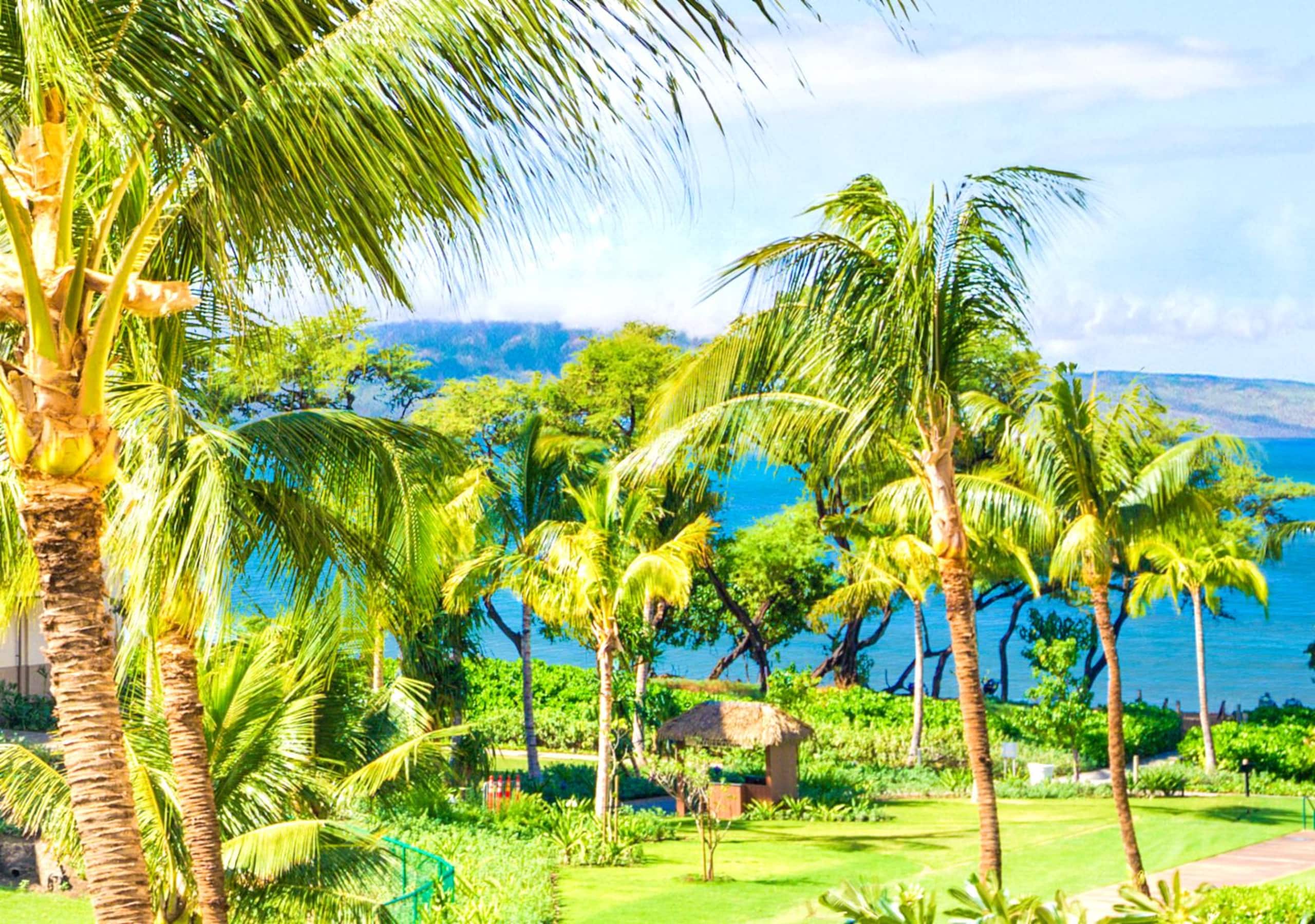 Condo in Lahaina · ★5.0 · 1 bedroom · 2 beds · 1 bath - Image 1