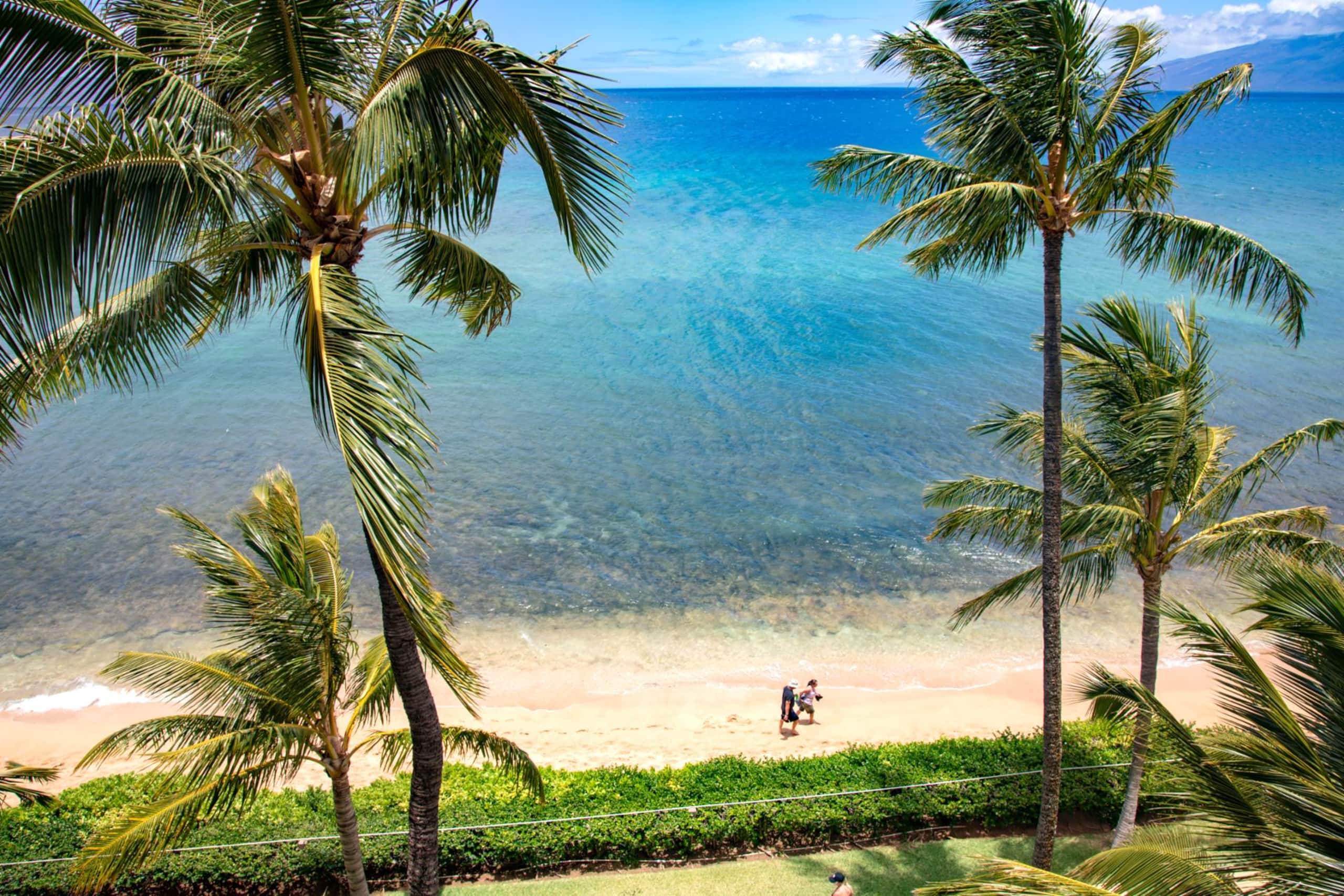 Condo in Lahaina · ★4.86 · 2 bedrooms · 3 beds · 2 baths - Image 15