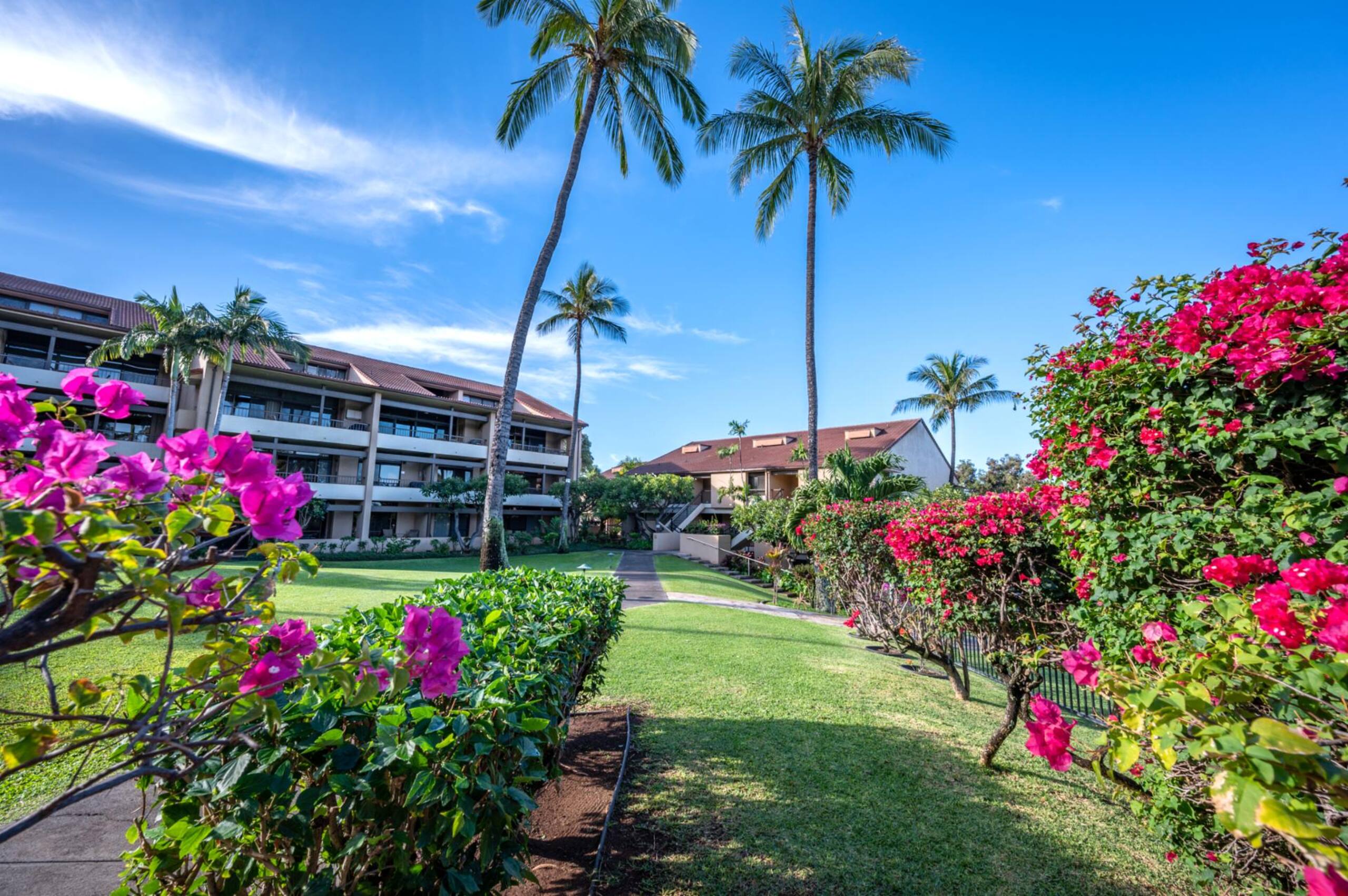 Condo in Lahaina · ★4.57 · 2 bedrooms · 3 beds · 2 baths - Image 39