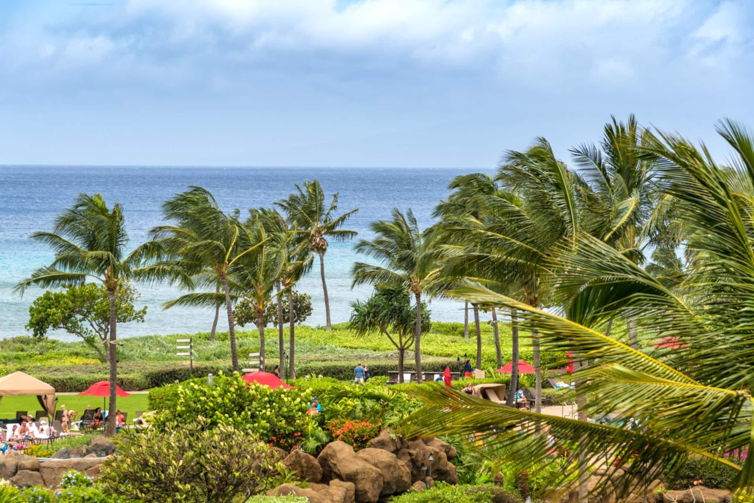 Condo in Lahaina · ★4.83 · 2 bedrooms · 3 beds · 1 bath - Image 1