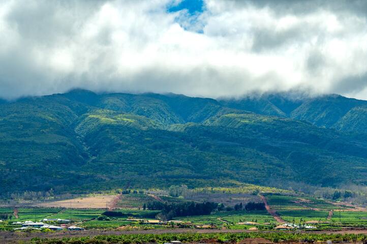 Honua Kai Hokulani 520 | FREE CAR | KBM Resorts