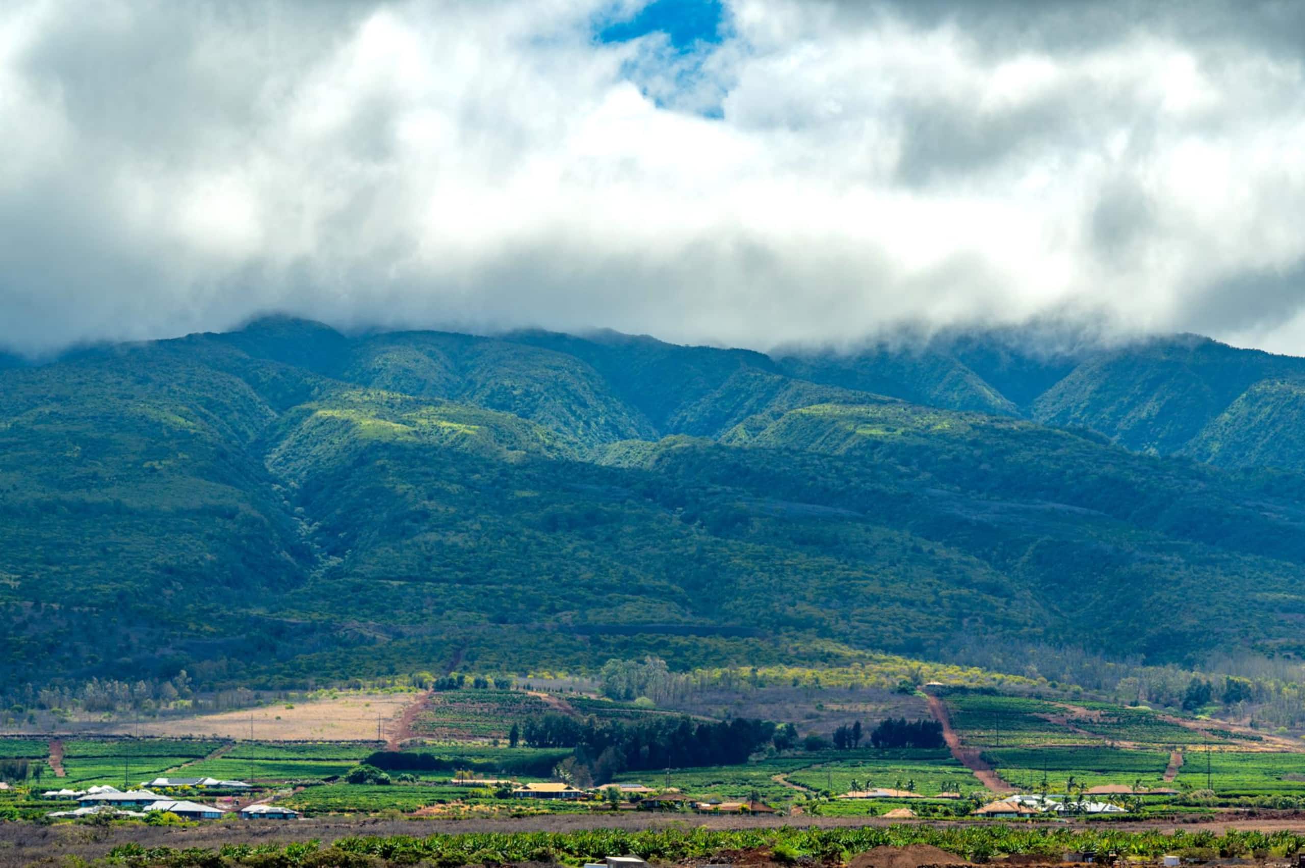 Condo in Lahaina · ★4.6 · 2 bedrooms · 3 beds · 2 baths - Image 2