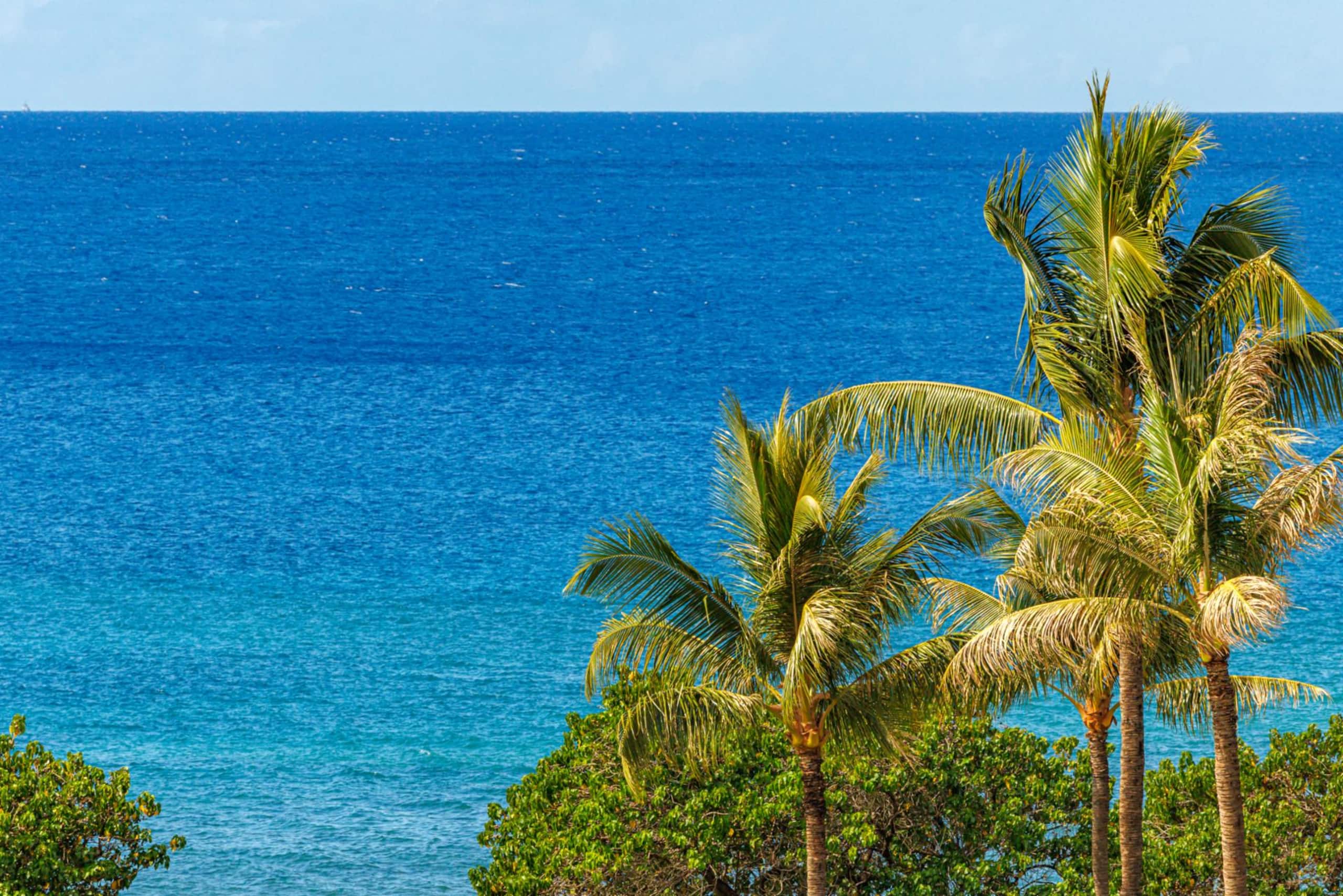 Condo in Lahaina · ★4.86 · 3 bedrooms · 4 beds · 3 baths - Image 68