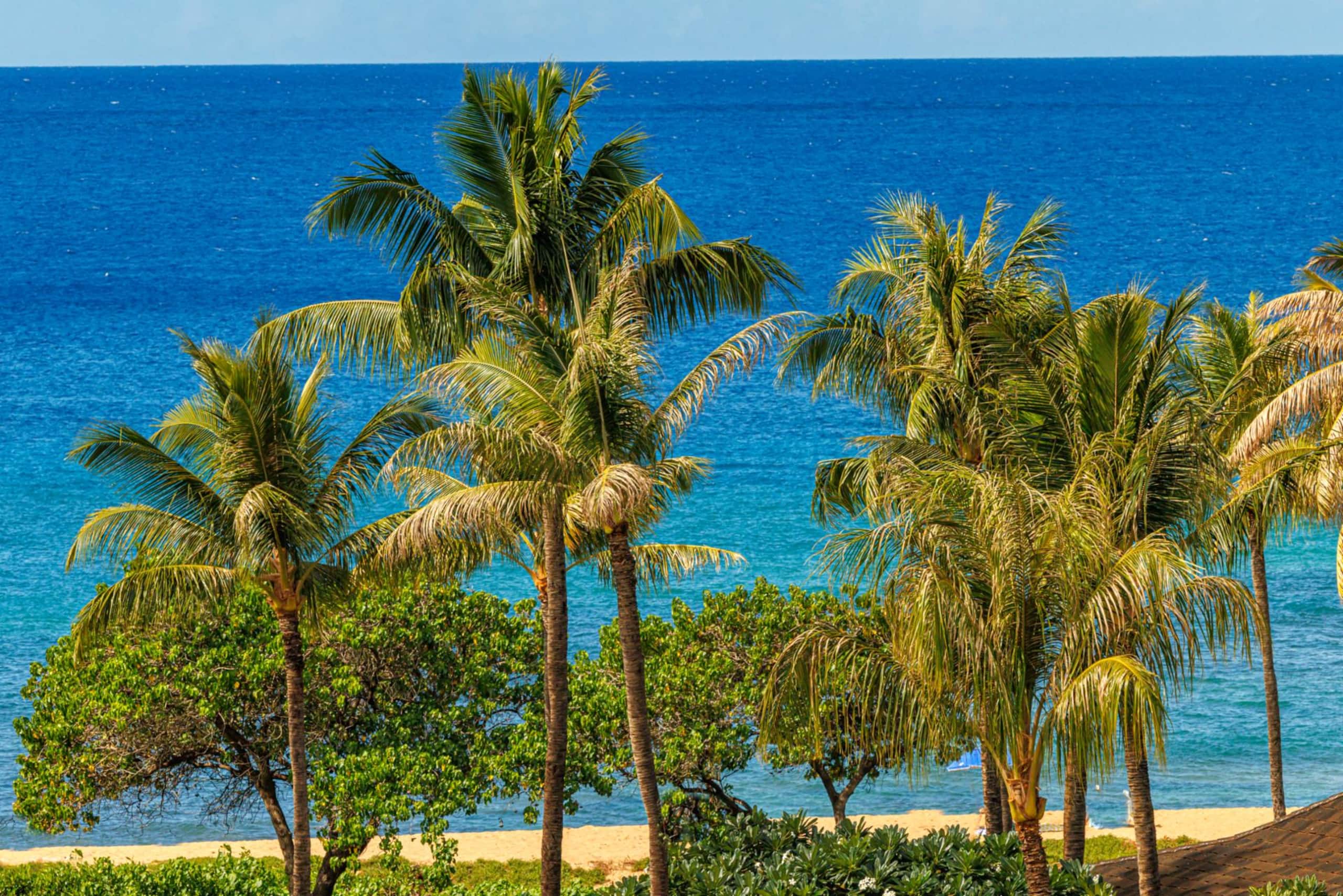 Condo in Lahaina · ★4.86 · 3 bedrooms · 4 beds · 3 baths - Image 70