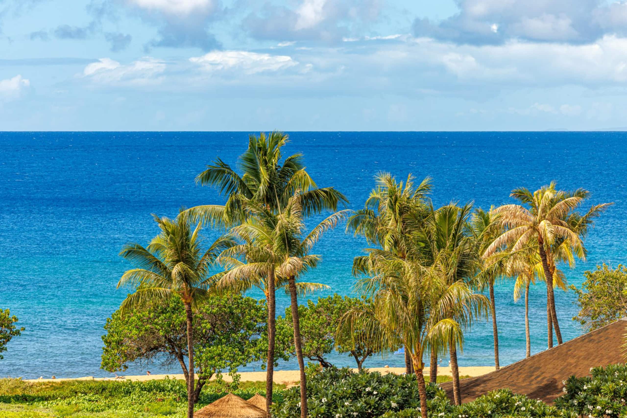 Condo in Lahaina · ★4.86 · 3 bedrooms · 4 beds · 3 baths - Image 69