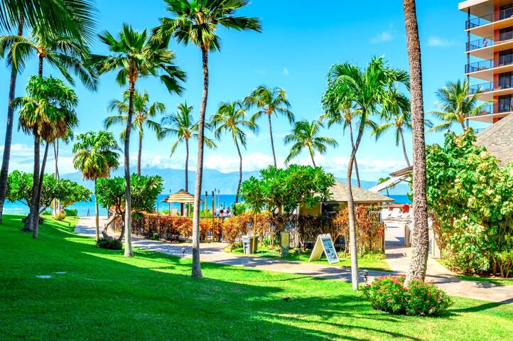 Kaanapali Shores 155 | FREE CAR | KBM Resorts